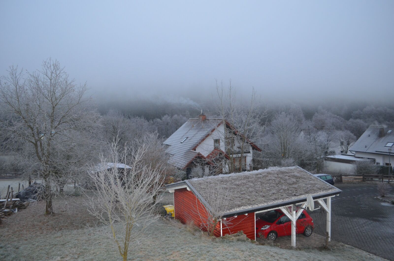 Nikon D5100 sample photo. Fog, cold, iced photography