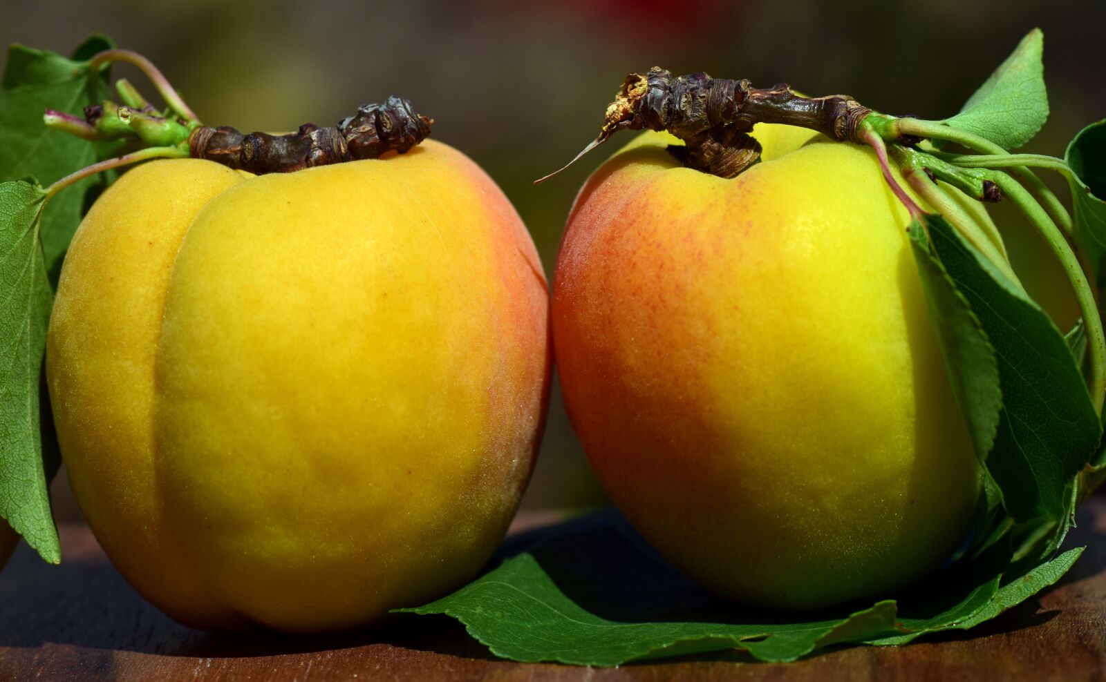 Nikon D3300 sample photo. Apricots, fruit, sweet photography