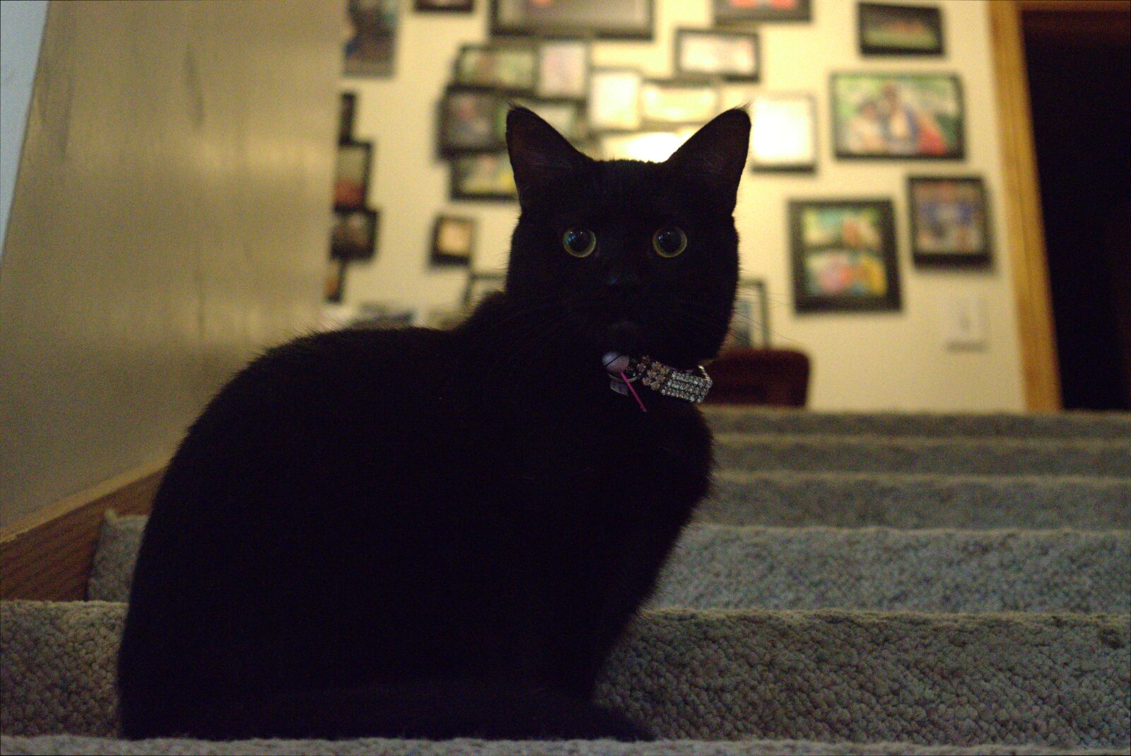Nikon D3300 sample photo