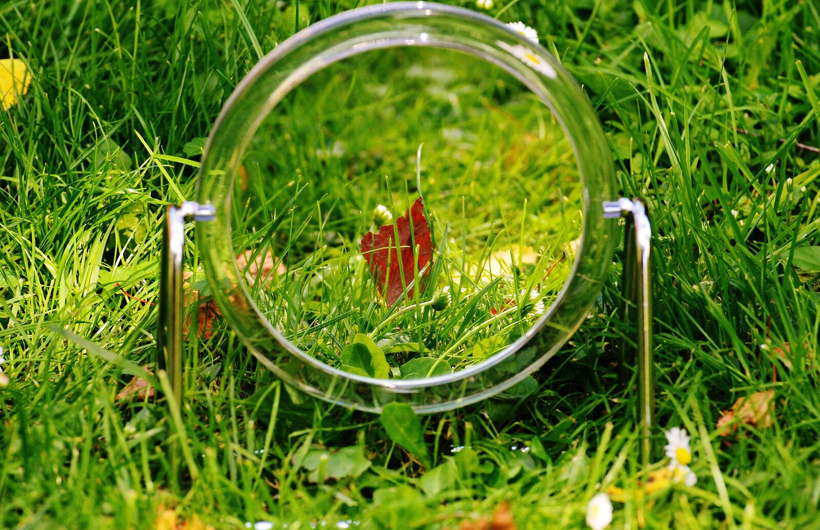 Nikon D3200 sample photo. Mirror, meadow, mirror image photography