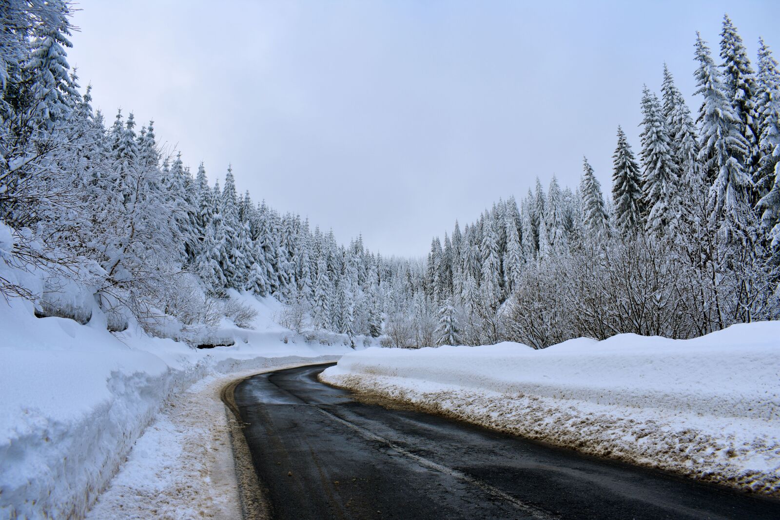 Nikon D3400 sample photo. Winter, snow, white photography