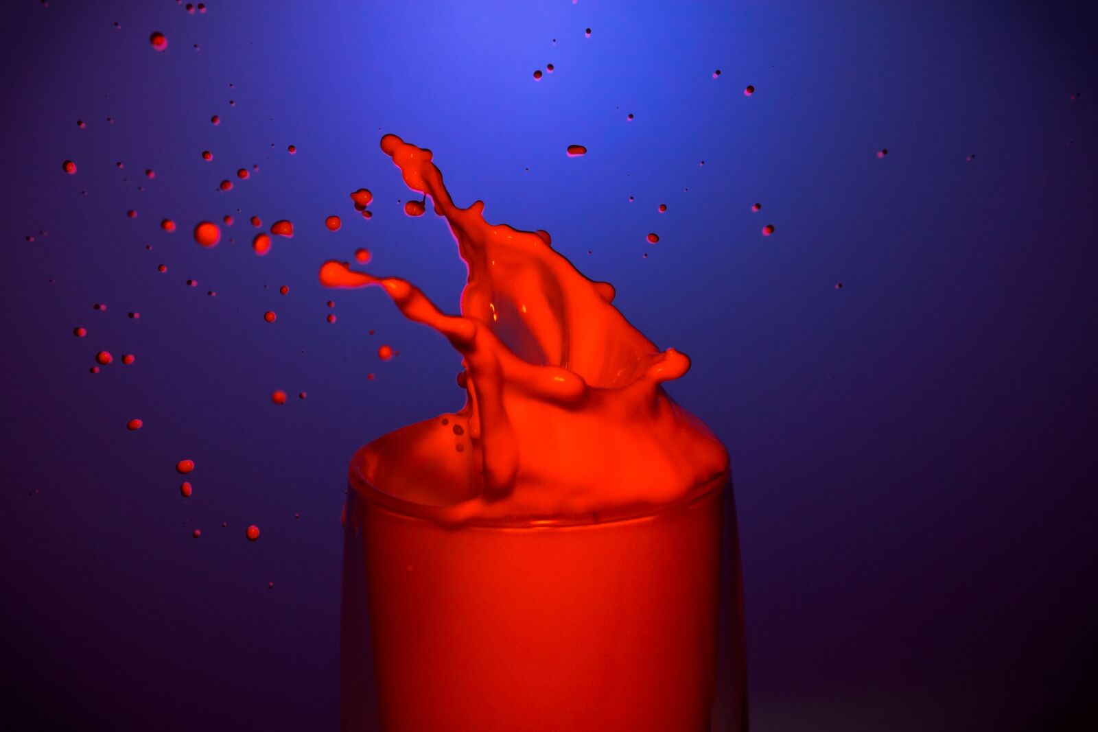 Canon EOS 1100D (EOS Rebel T3 / EOS Kiss X50) sample photo. Milk, splash, exposure photography