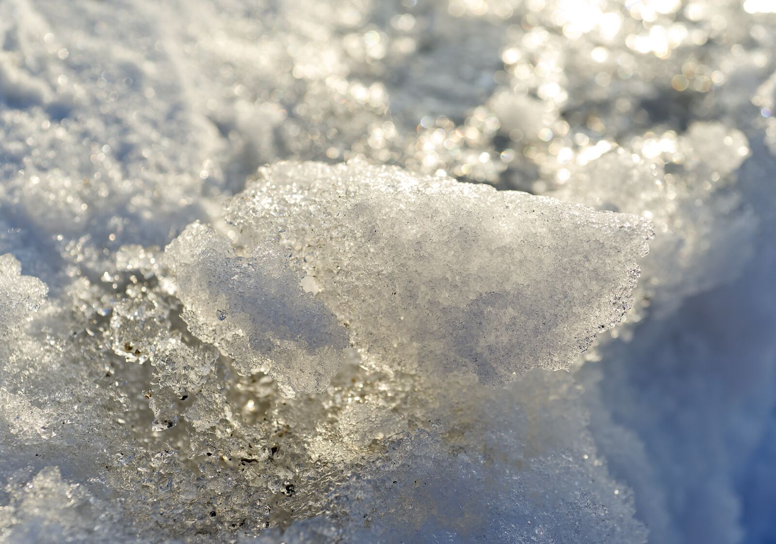 Sony Alpha DSLR-A850 sample photo. Nature, spring, winter photography