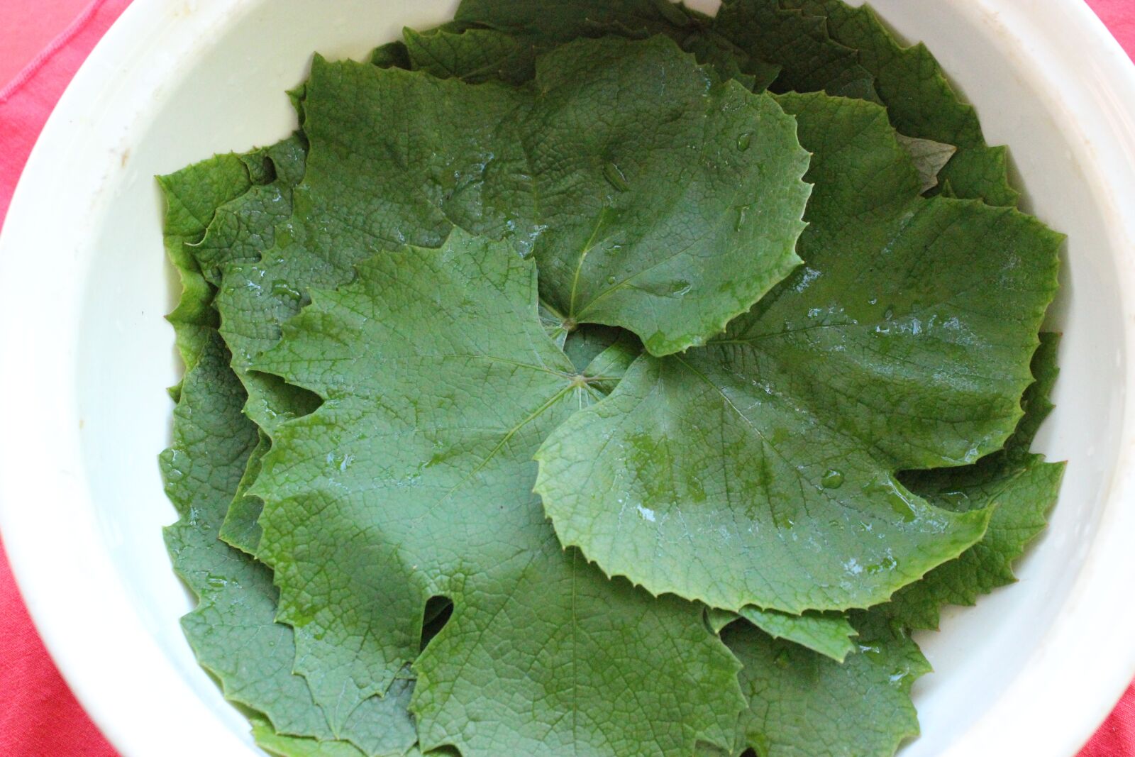 Canon EOS 600D (Rebel EOS T3i / EOS Kiss X5) sample photo. Dolmades, grape leaves, appetizer photography