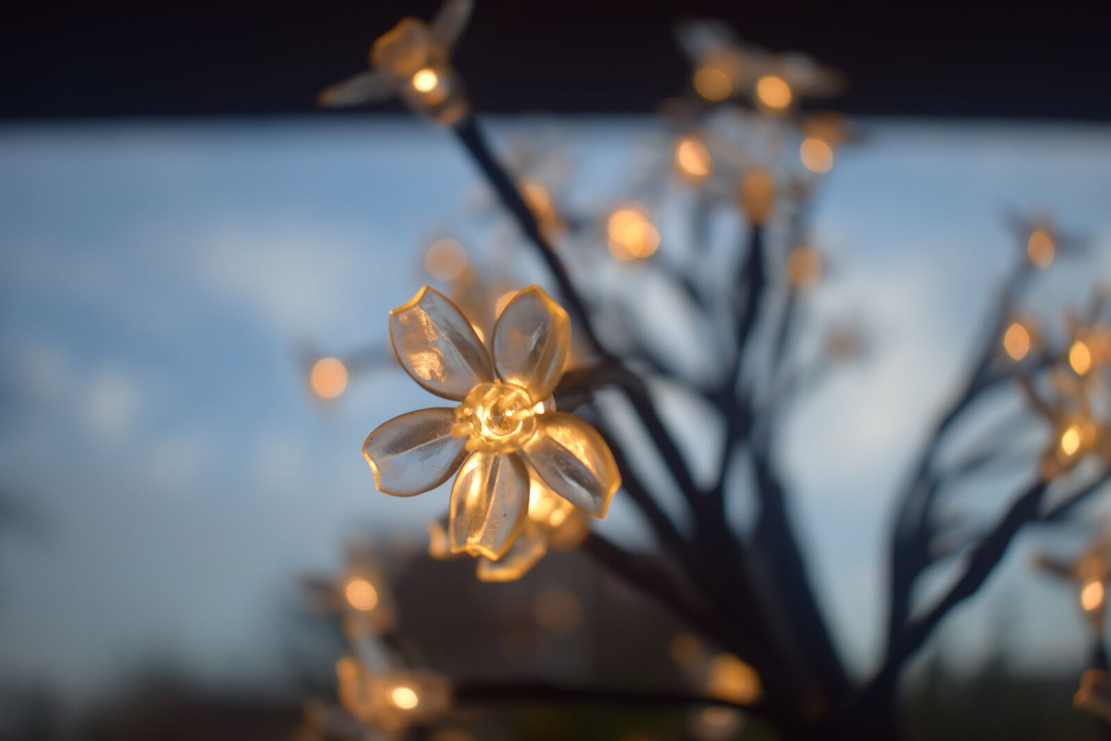 Nikon AF-P DX Nikkor 18-55mm F3.5-5.6G sample photo. Close, up, of, illuminated photography