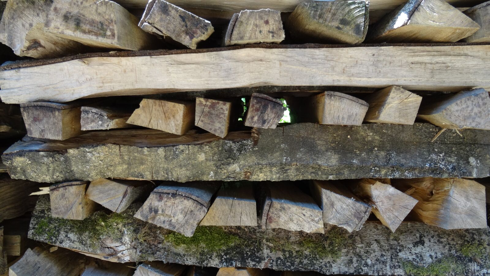 Sony DSC-HX50 sample photo. Wood, holzstapel, firewood photography