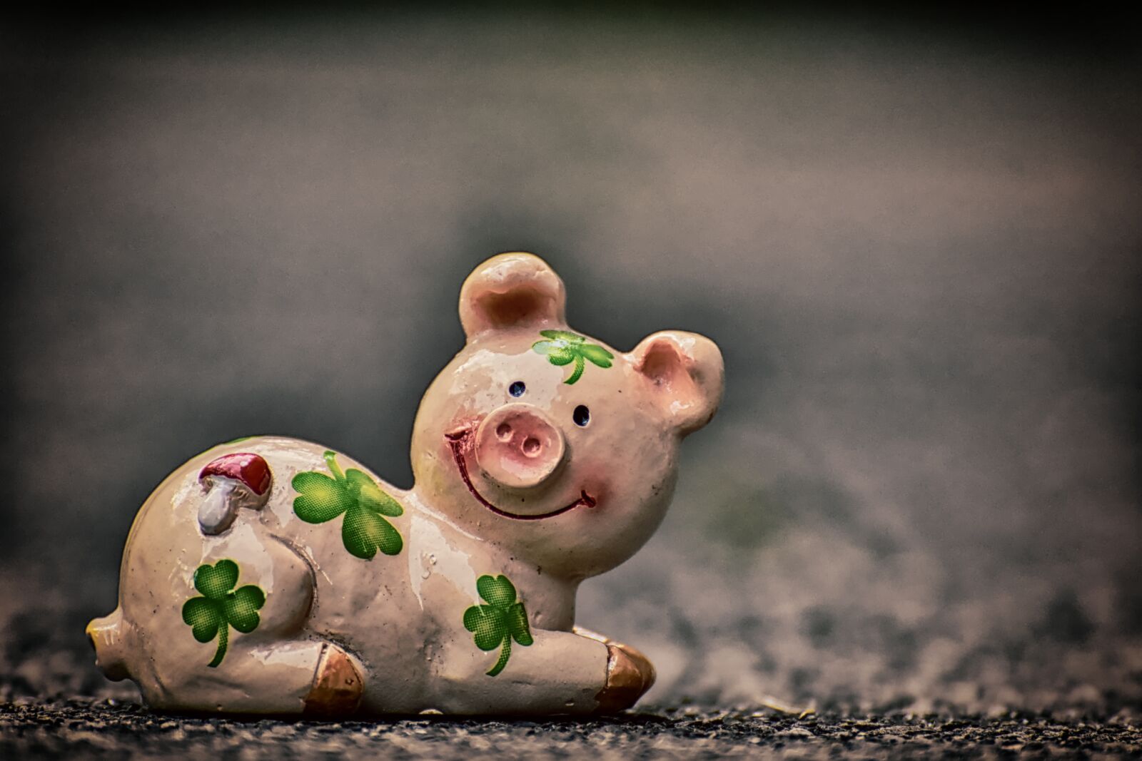 Nikon D7200 sample photo. Luck, piglet, lucky pig photography