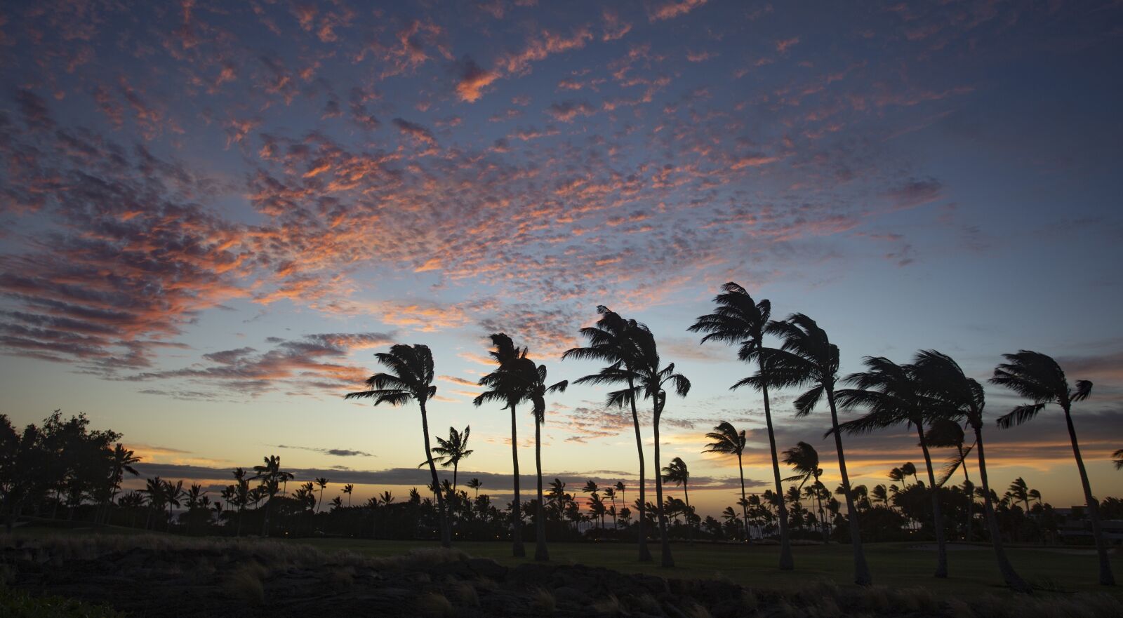 Canon EF 17-40mm F4L USM sample photo. Sunset, hawaii, tropical photography