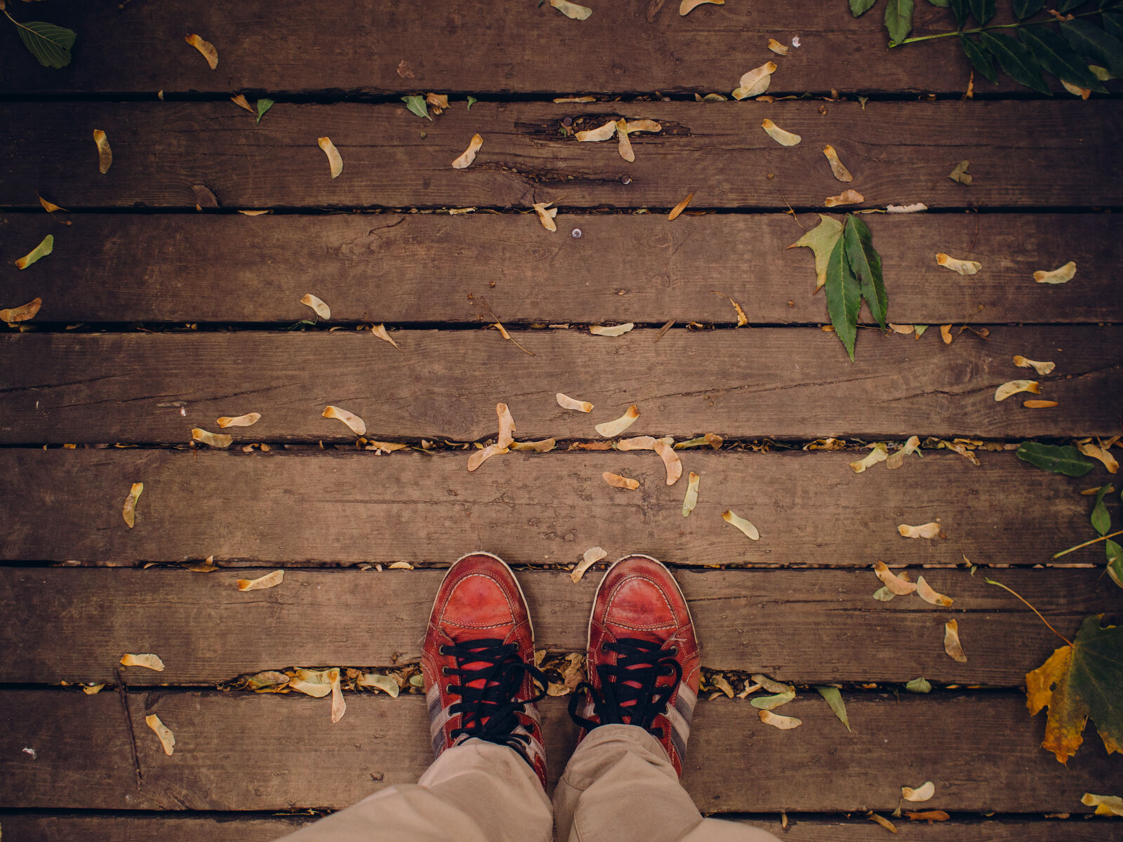 Olympus M.Zuiko Digital 17mm F1.8 sample photo. Feet, shoes, autumn, fall photography
