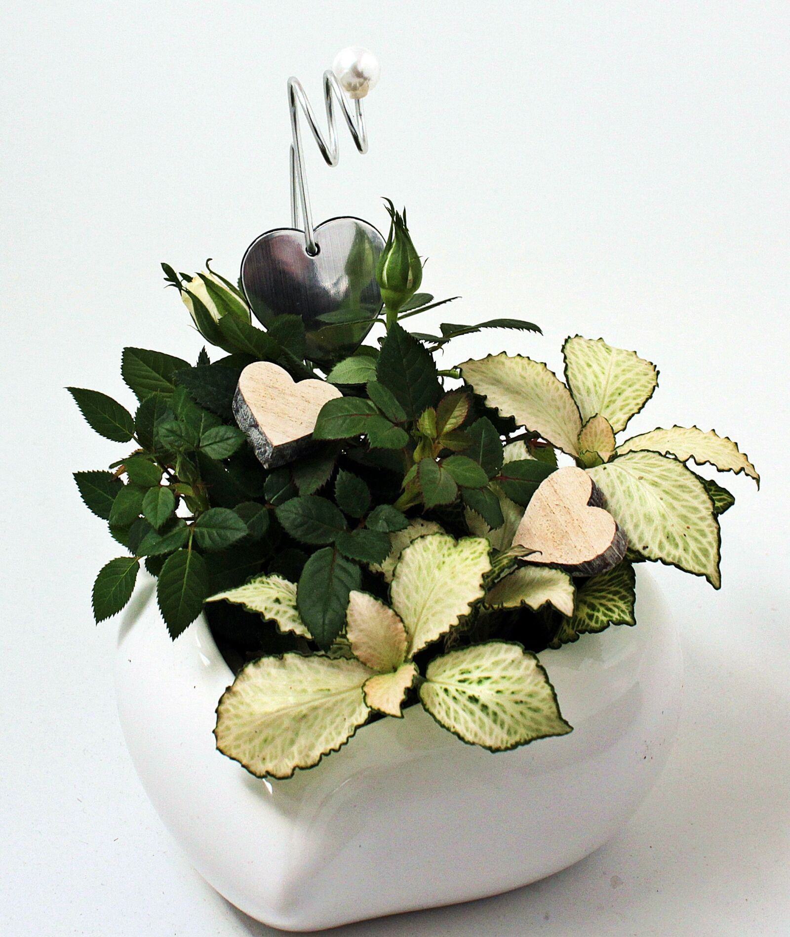 Canon EOS 550D (EOS Rebel T2i / EOS Kiss X4) sample photo. Mother's day, heart, gratitude photography