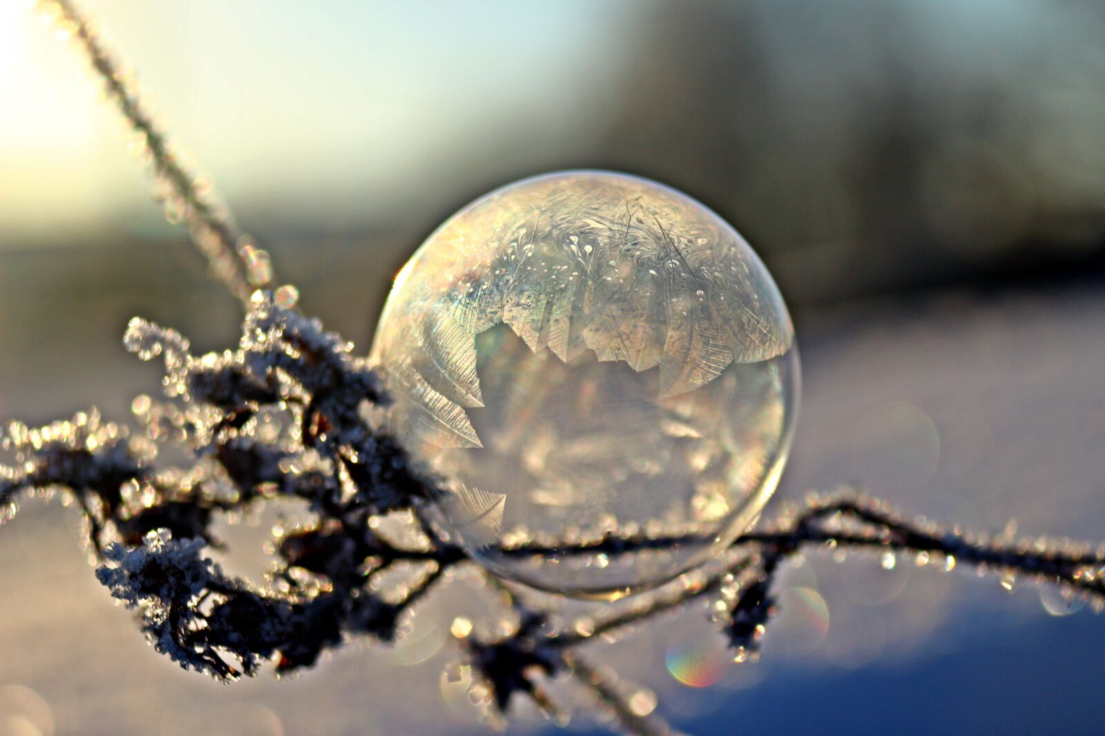 Canon EOS 100D (EOS Rebel SL1 / EOS Kiss X7) sample photo. Soap bubble, frost ball photography