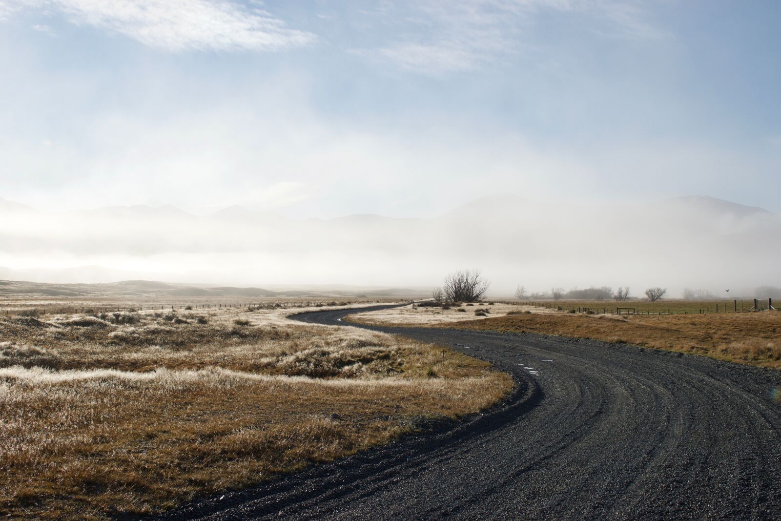 Nikon D5300 sample photo. Nature, road, landscape photography