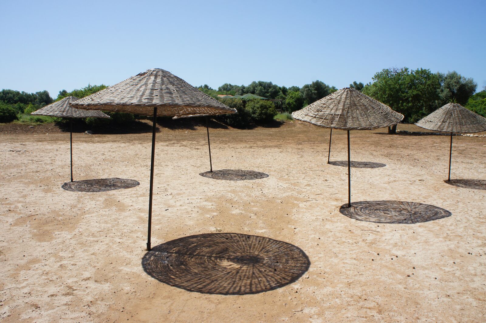 Sony Alpha NEX-5 sample photo. Sand, umbrellas, in the photography