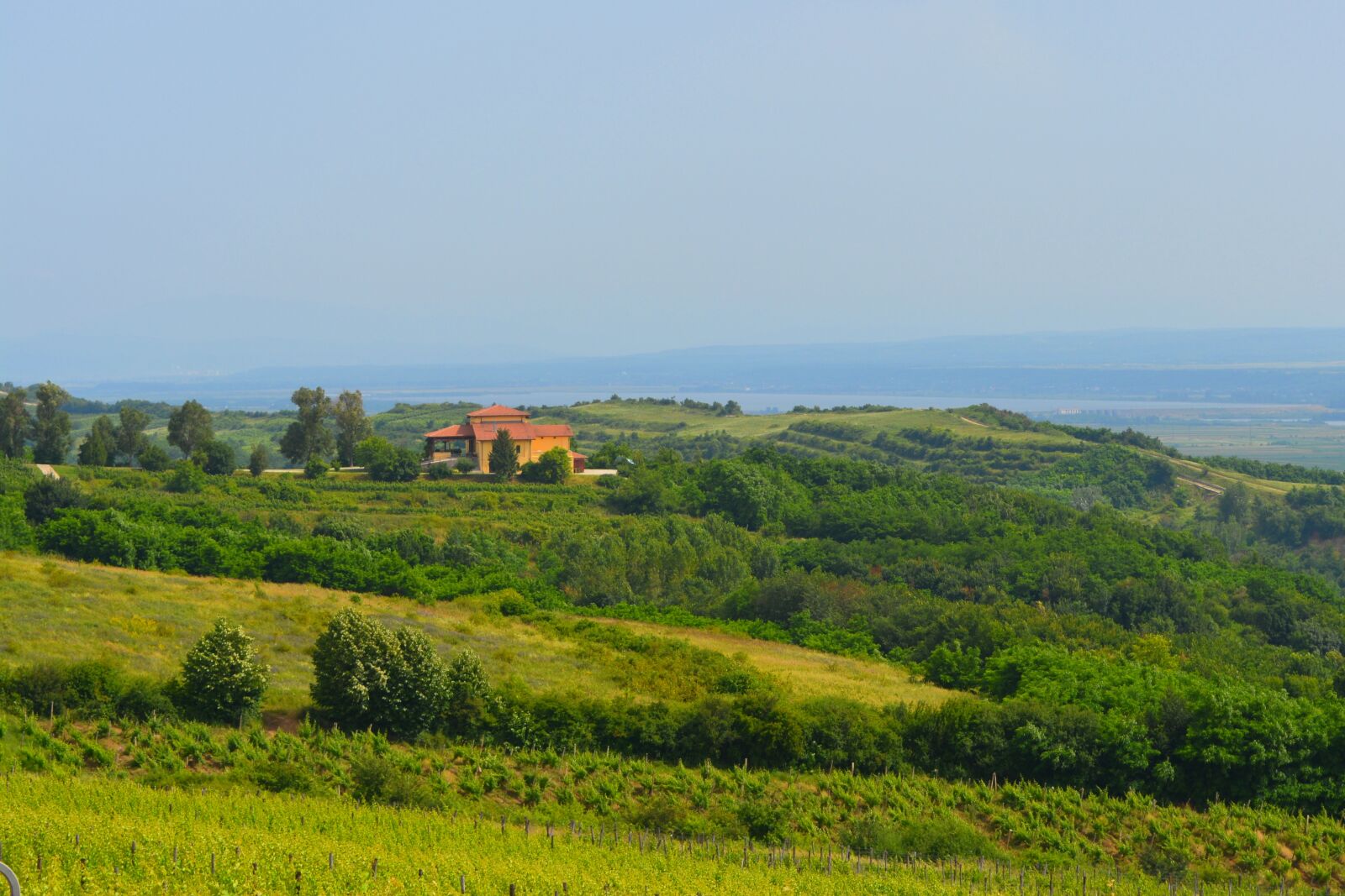 Nikon D5200 sample photo. Vineyard, landscape, home photography