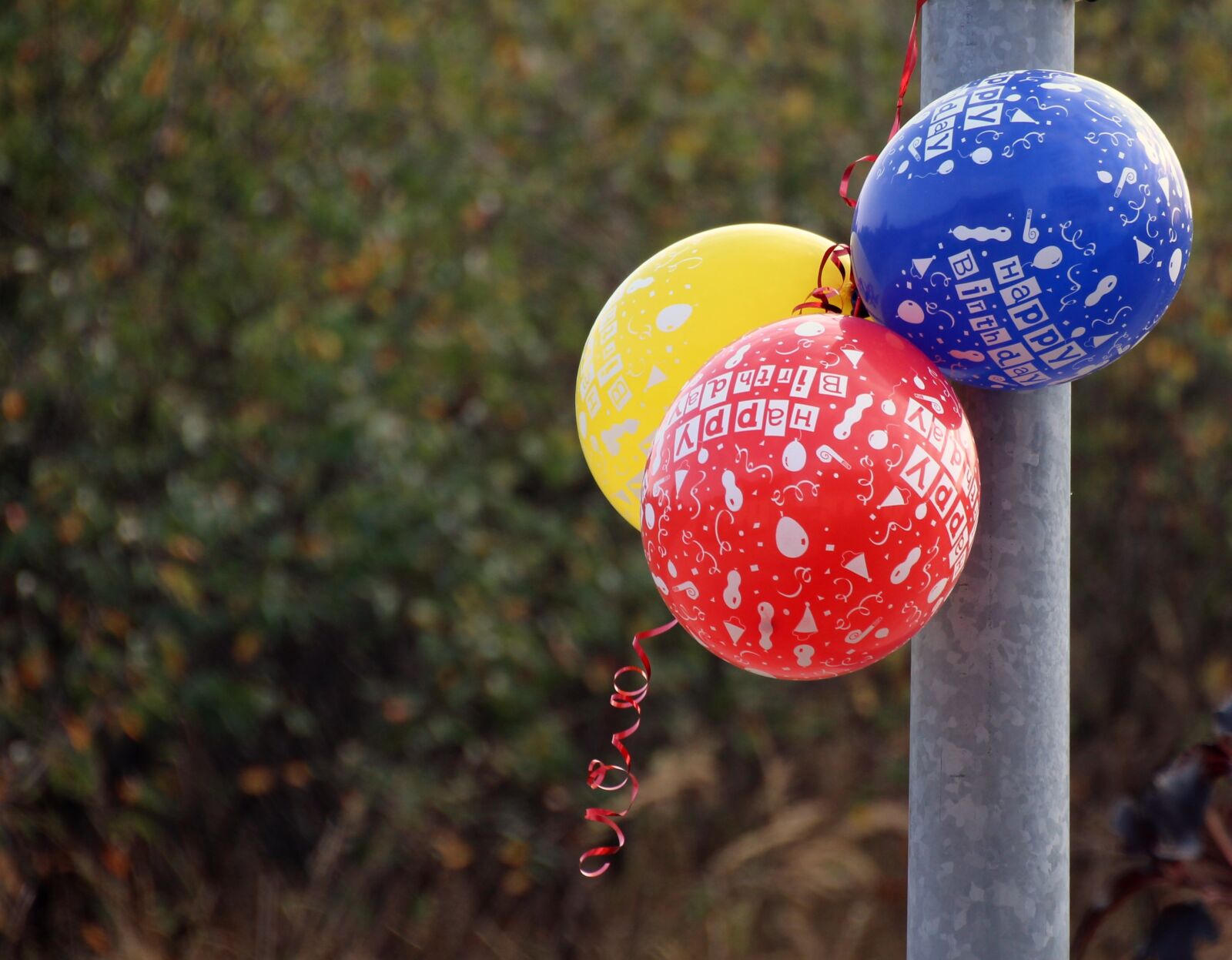 Canon EOS 650D (EOS Rebel T4i / EOS Kiss X6i) sample photo. Birthday, balloon, happy birthday photography