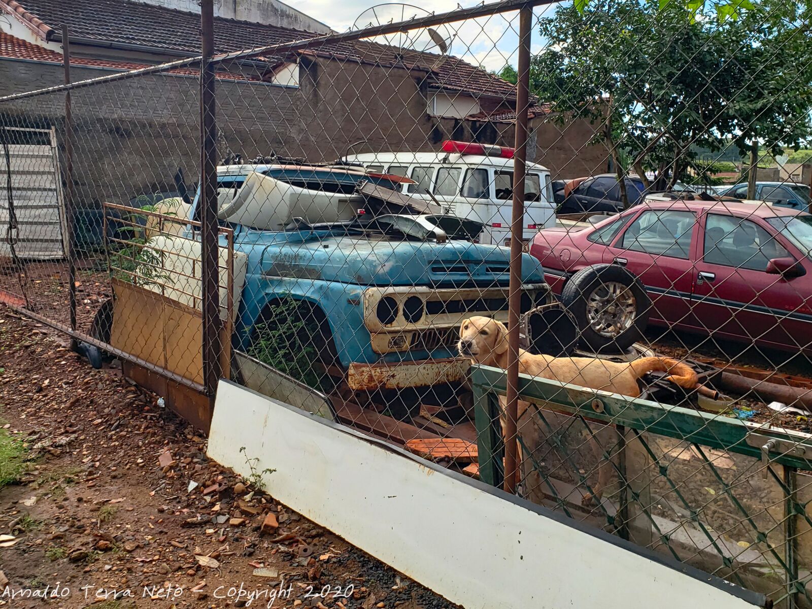 Samsung Galaxy Note9 sample photo. Rent a car, old photography