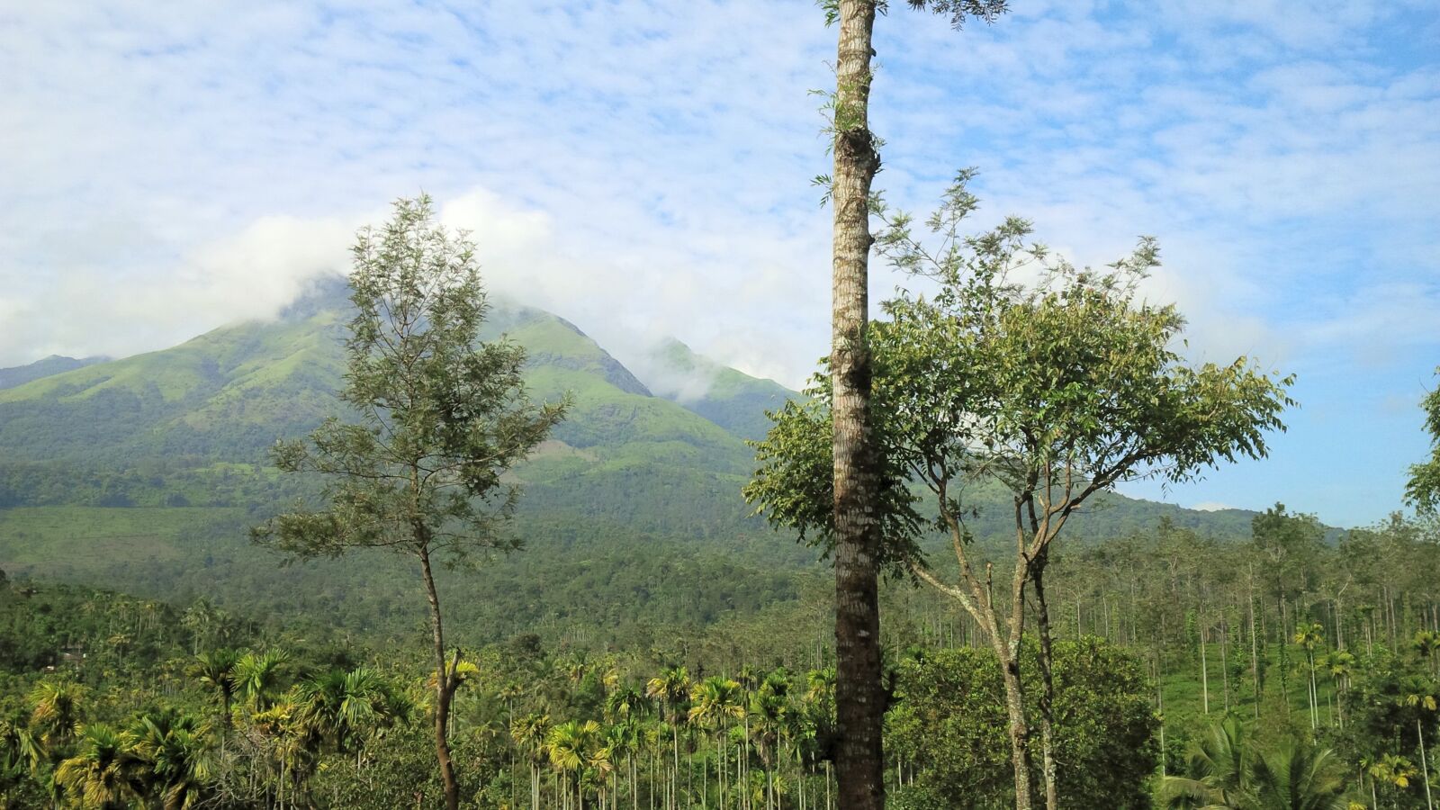 BlackBerry Z10 sample photo. Nature, landscape, hills photography