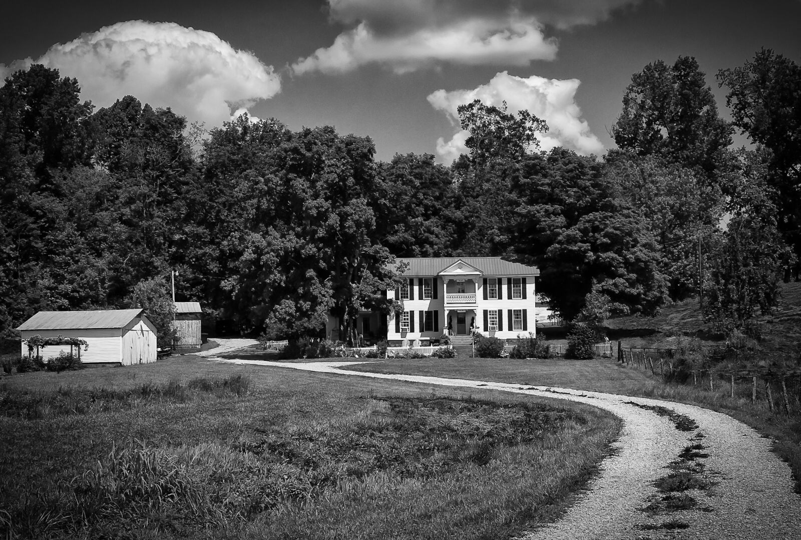 Nikon D40 sample photo. Monochrome, black and white photography