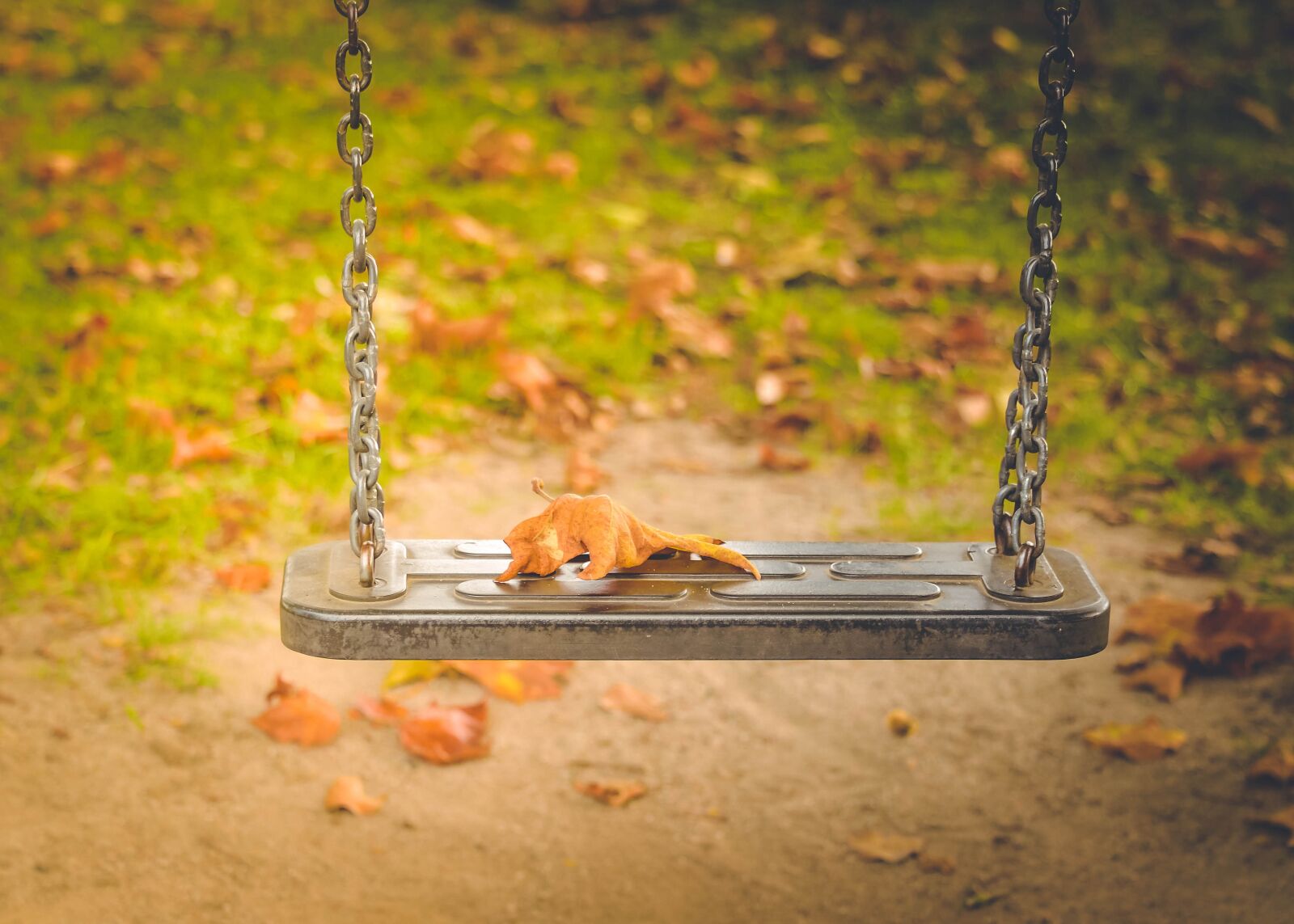 Nikon D750 sample photo. Autumn, green, nature photography