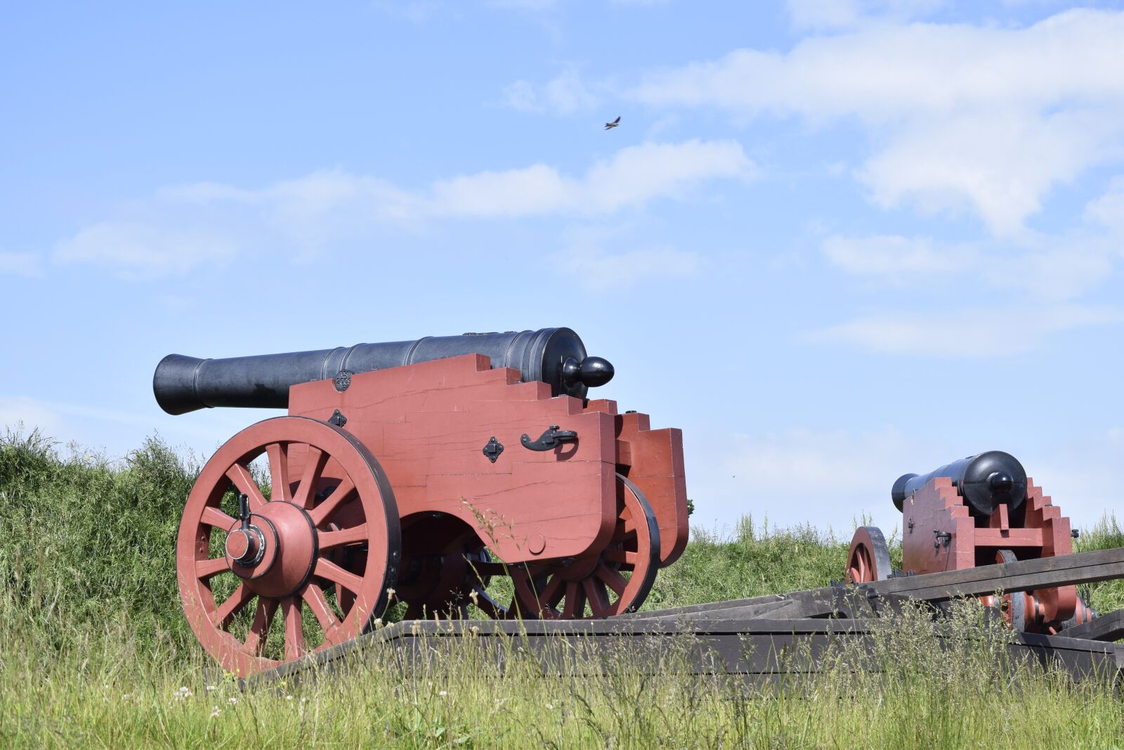 Nikon D5300 sample photo. Cannon, antique, war photography