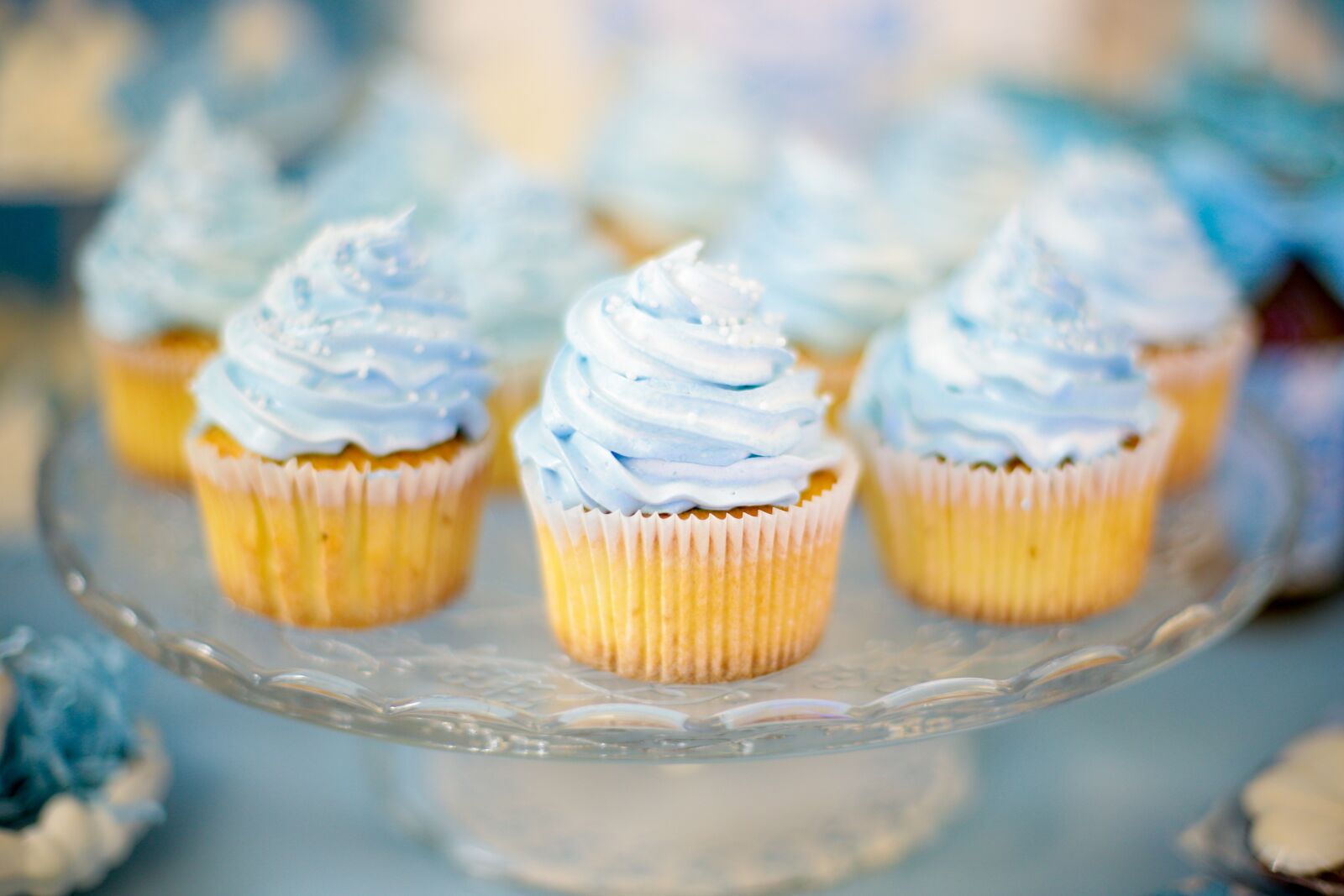 Canon EF 50mm F1.4 USM sample photo. Cake, cupcake, dessert photography