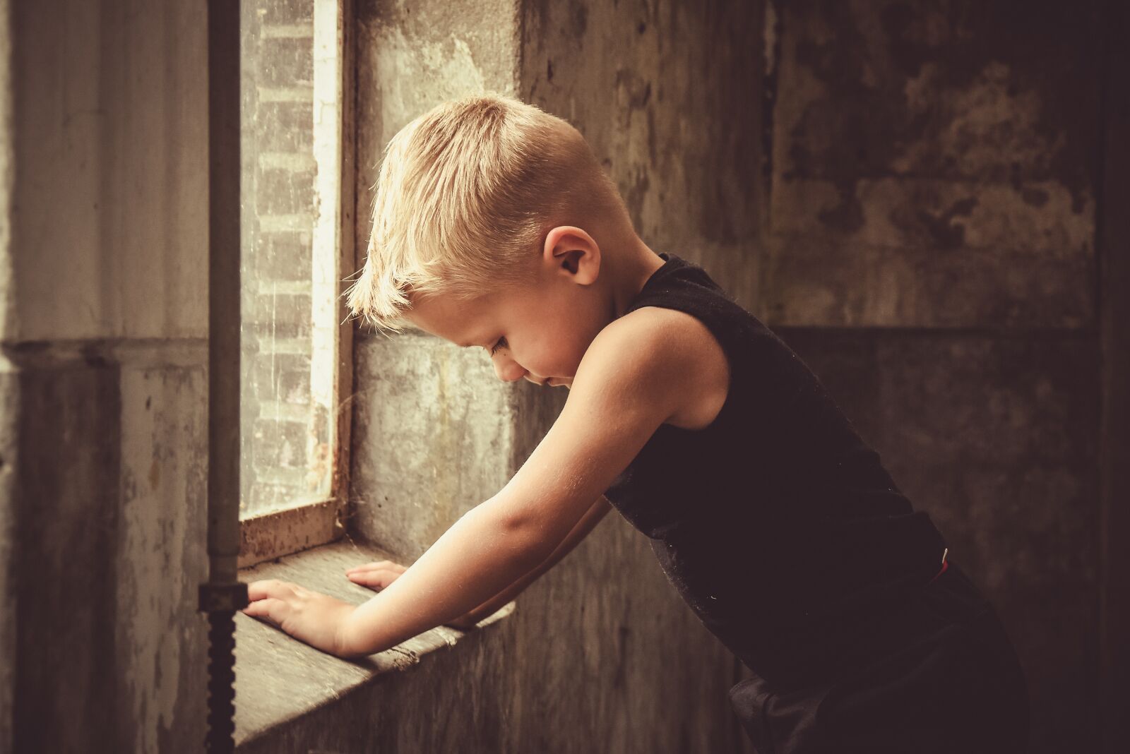 Nikon D5500 sample photo. Window, building, old photography