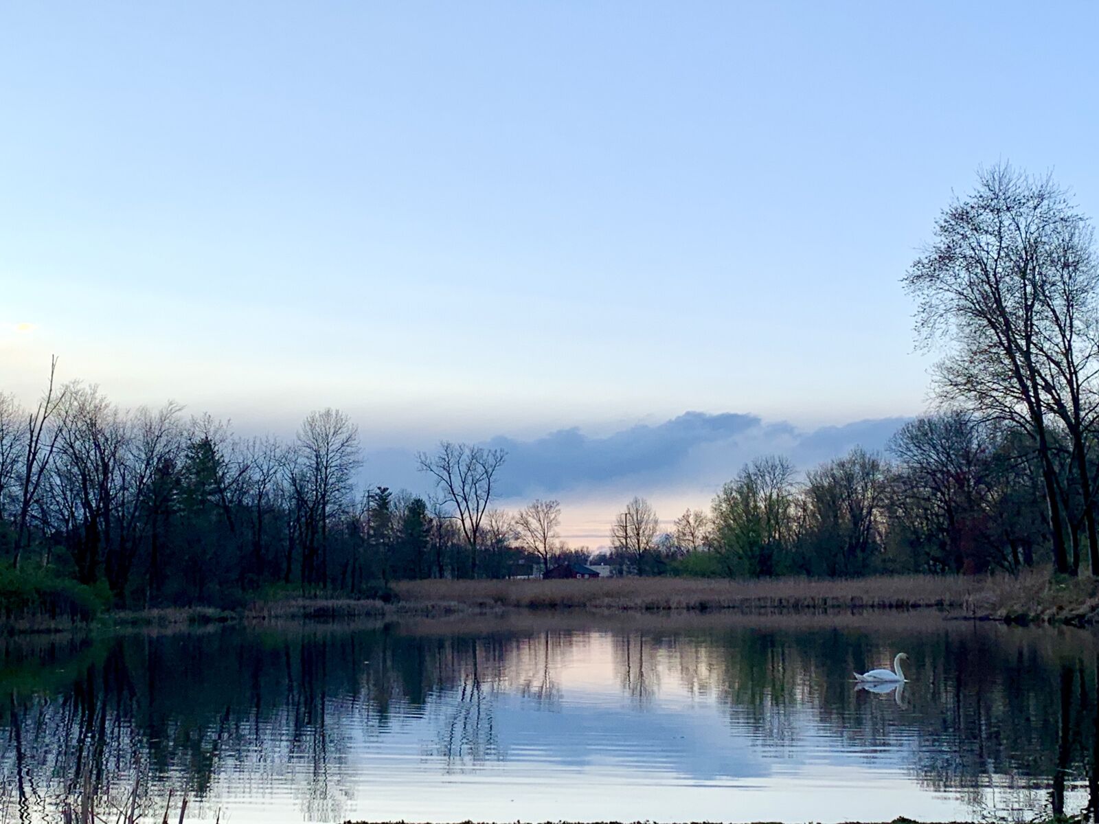 iPhone XR back camera 4.25mm f/1.8 sample photo. Lake, water, sunset photography