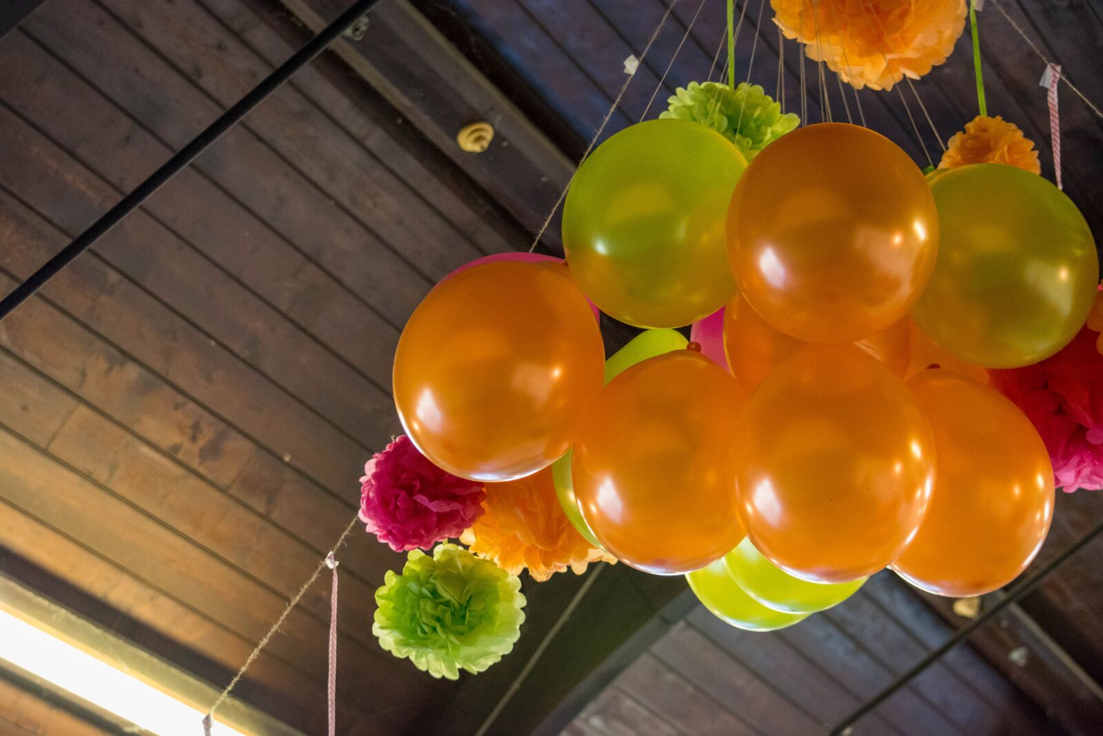 Nikon D5200 sample photo. Balloon, party, celebration photography