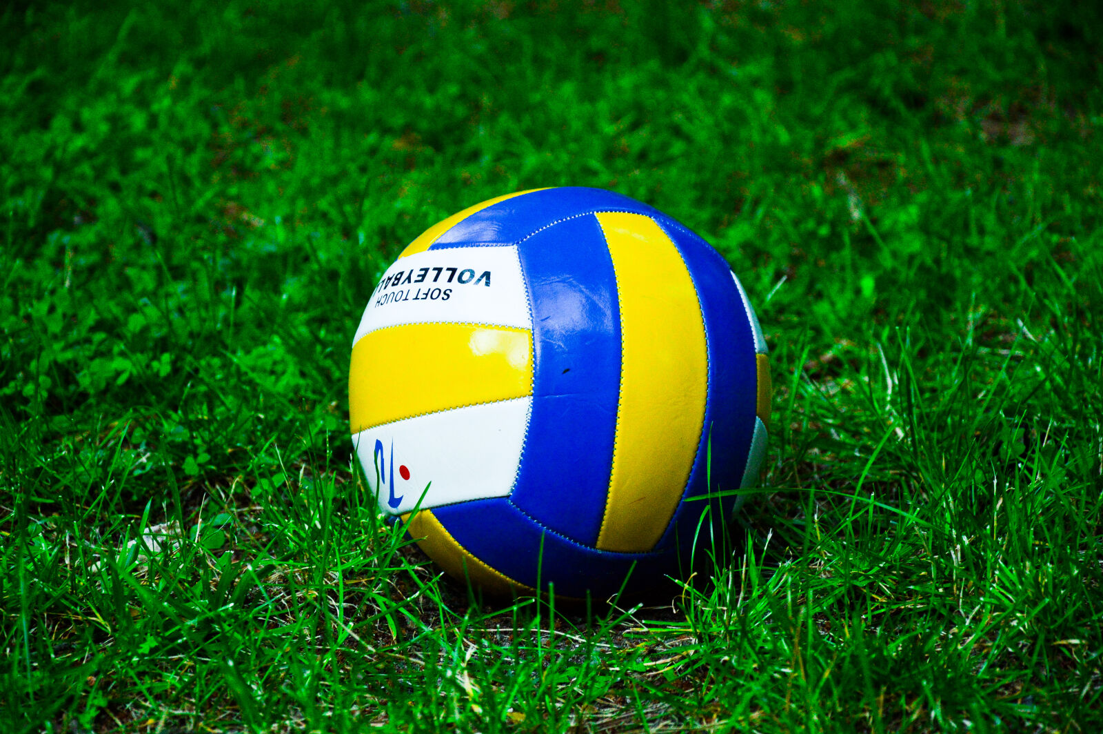 Nikon D3200 sample photo