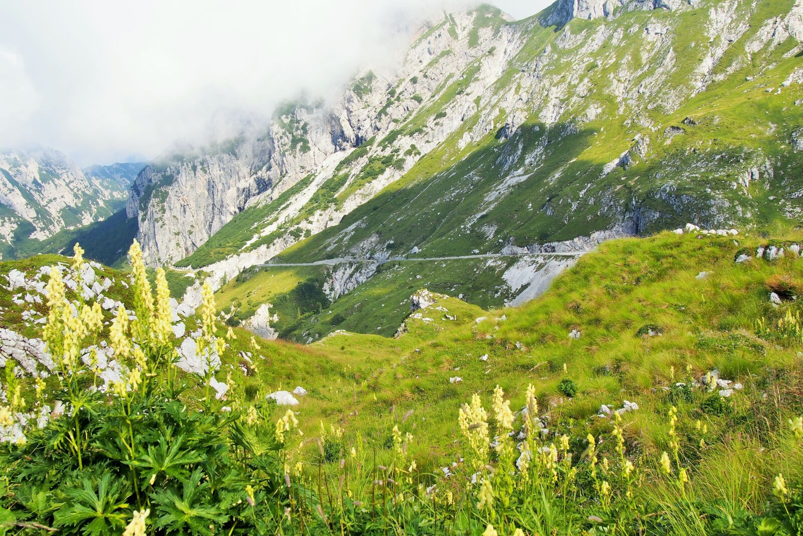 Olympus PEN E-PL6 sample photo. Nature, mountains, scenic photography