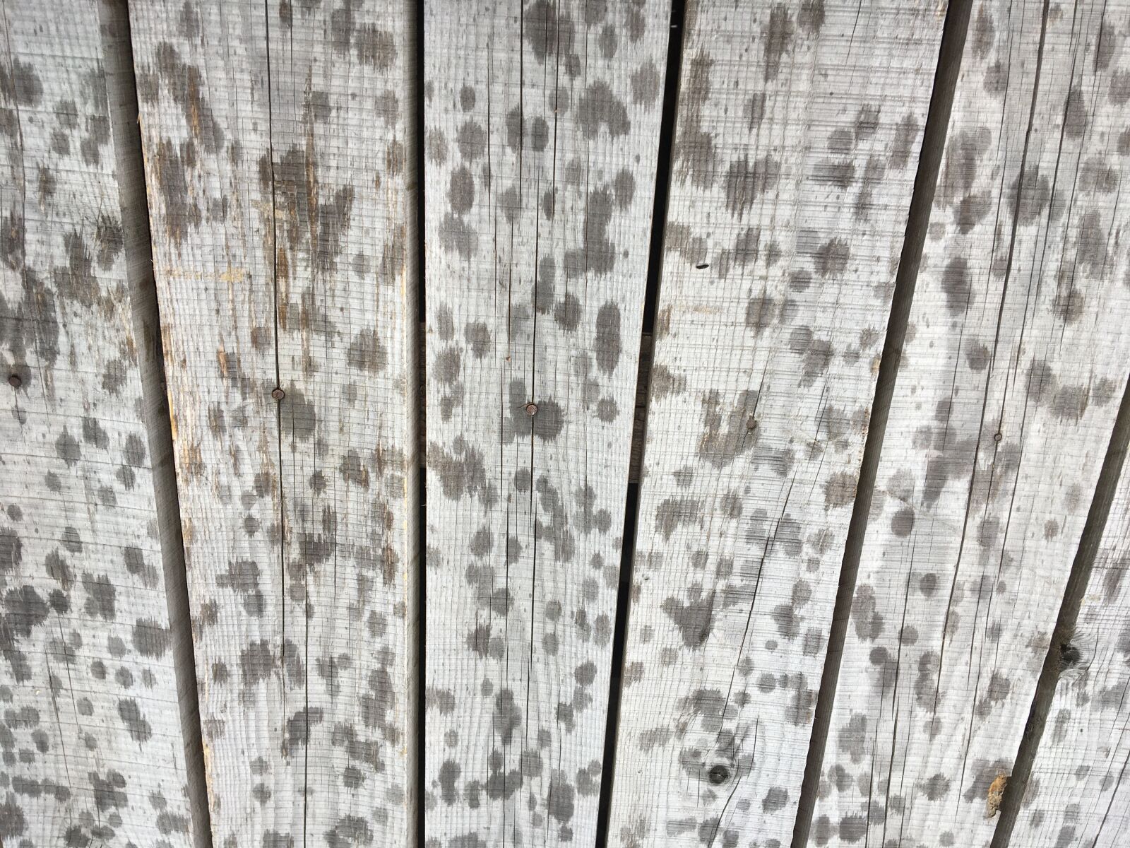 Apple iPhone 6s sample photo. Wood, boards, texture photography
