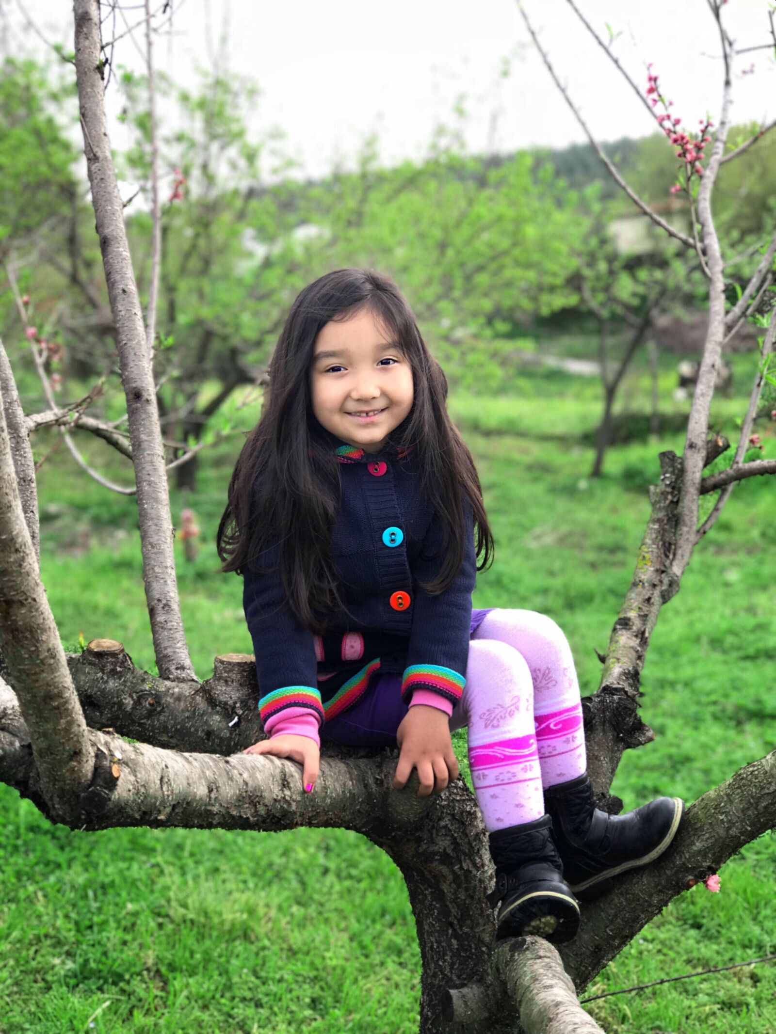 iPhone 7 Plus back dual camera 6.6mm f/2.8 sample photo. Nature, tree, outdoor photography