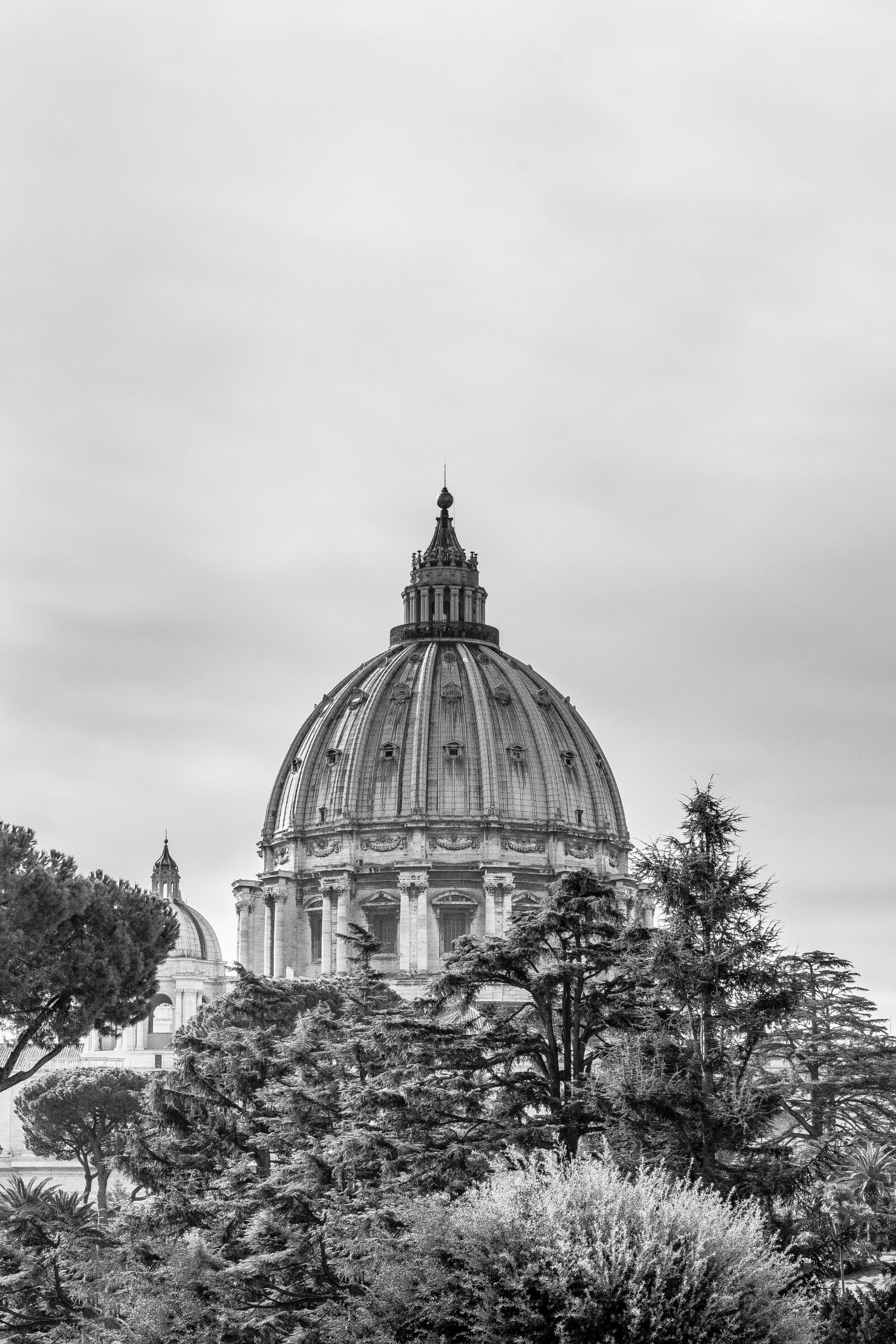 Nikon D7200 sample photo. St peter's basilica, rome photography
