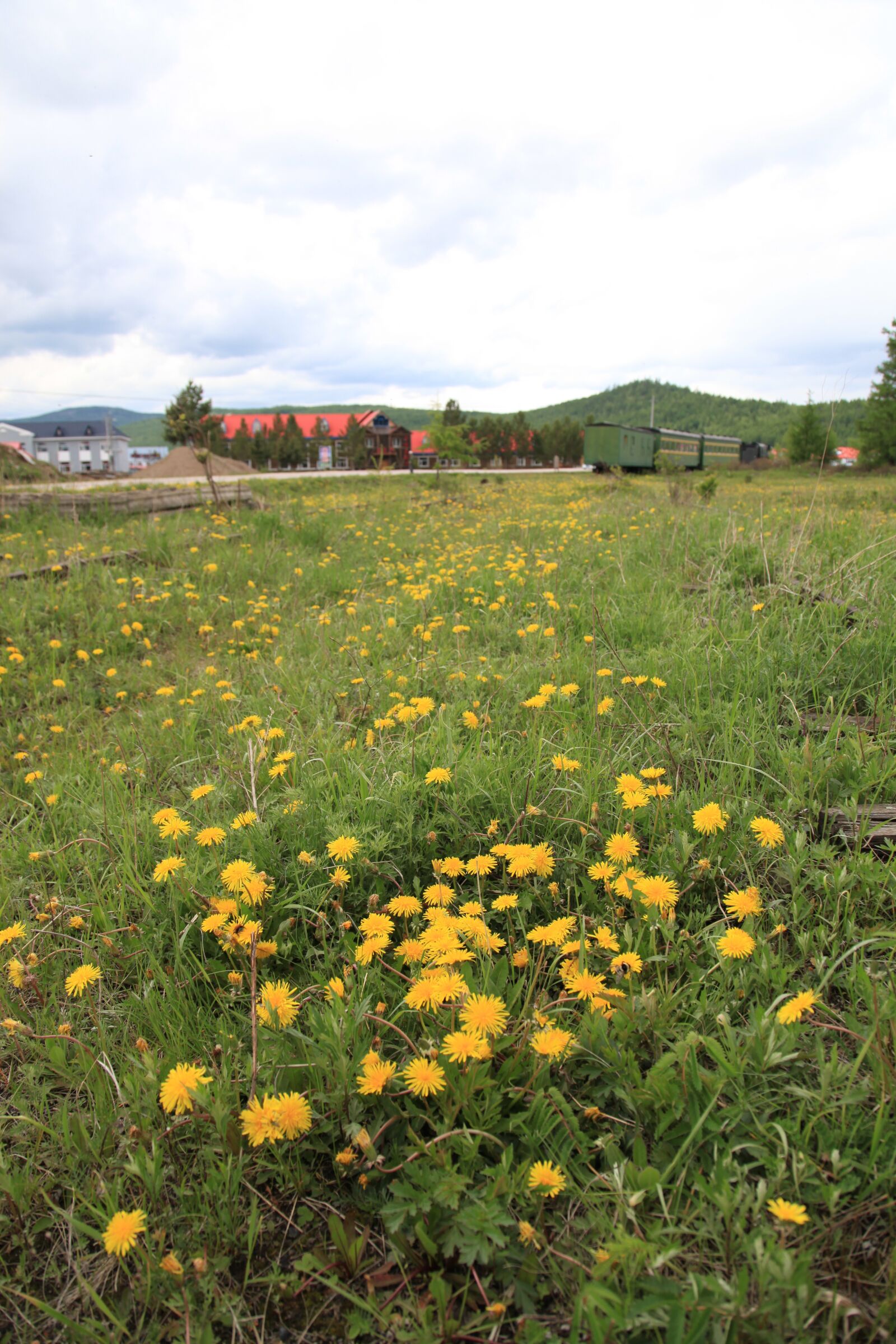 Canon EOS 5D Mark II sample photo. Prairie, sky, the scenery photography