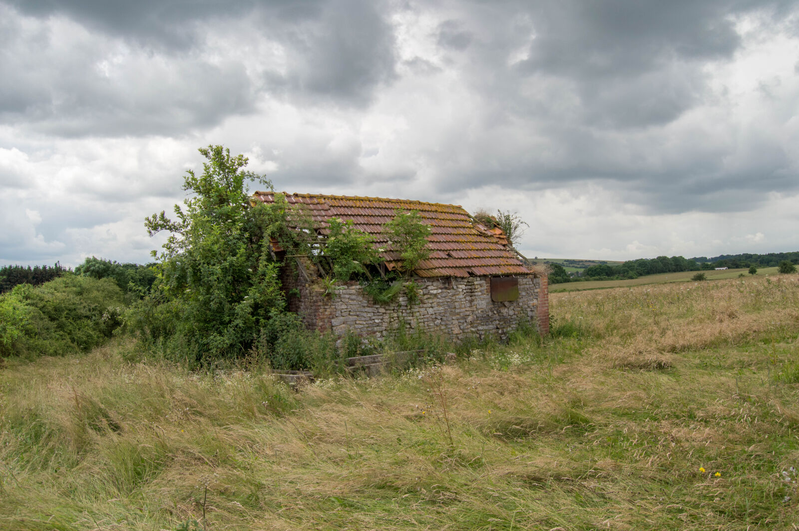 Nikon D3200 sample photo. Abandoned, house, in, farm photography