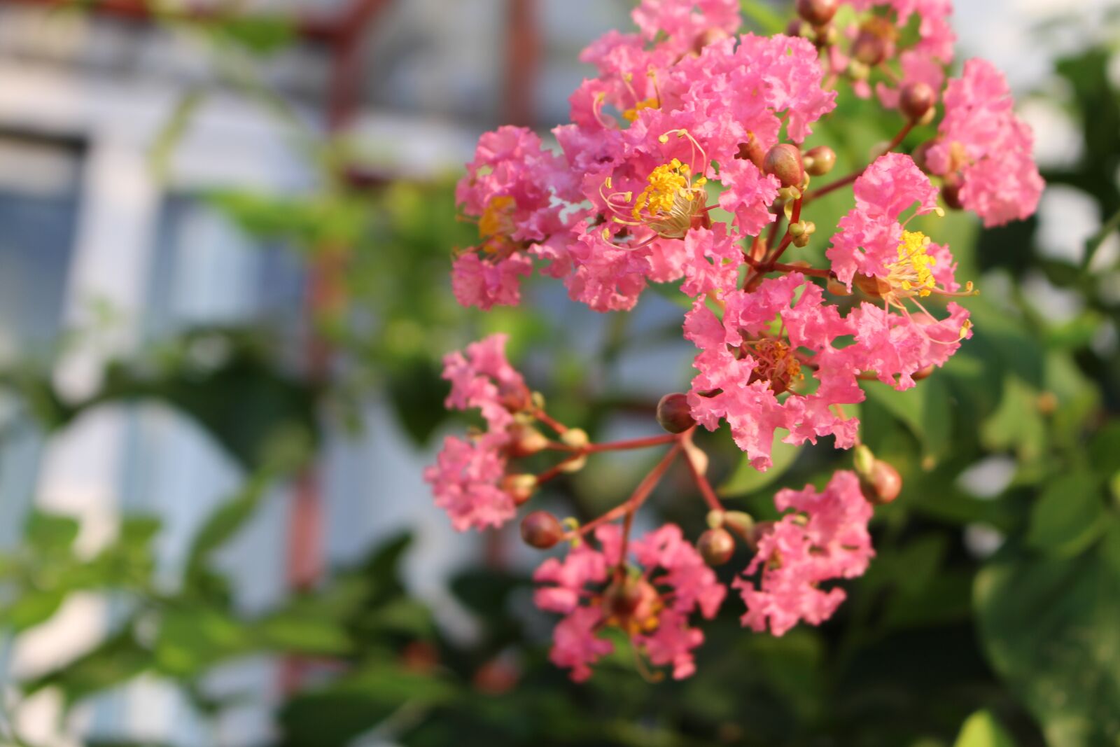 Canon EOS 700D (EOS Rebel T5i / EOS Kiss X7i) sample photo. Early in the morning photography