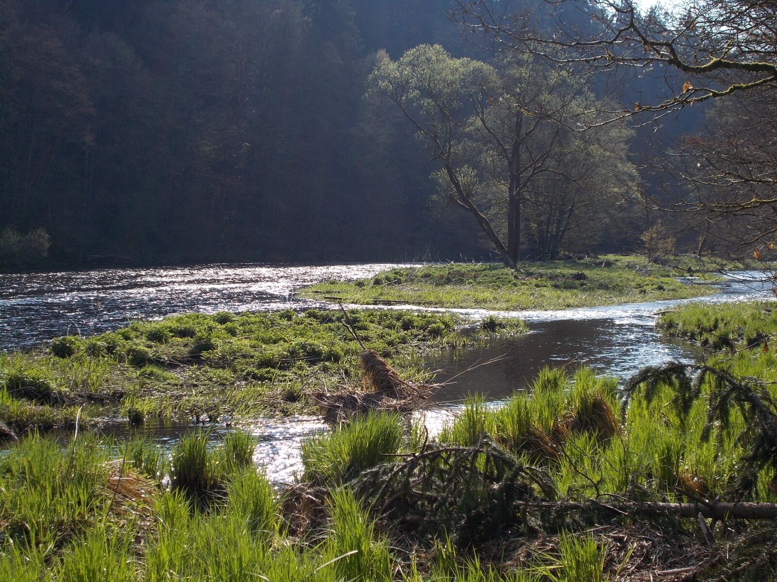 Nikon Coolpix L31 sample photo. Nature recording, river landscape photography