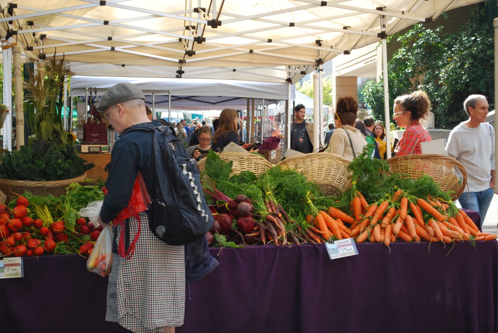 Nikon D60 sample photo. Portland state university, farmers photography