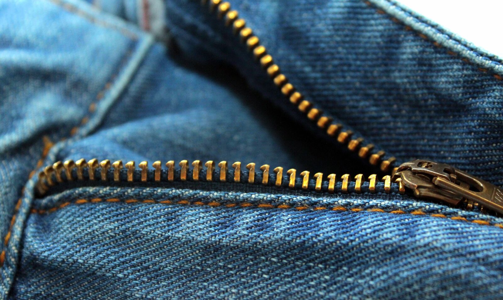 Canon EOS 650D (EOS Rebel T4i / EOS Kiss X6i) sample photo. Zip, krampen, small teeth photography