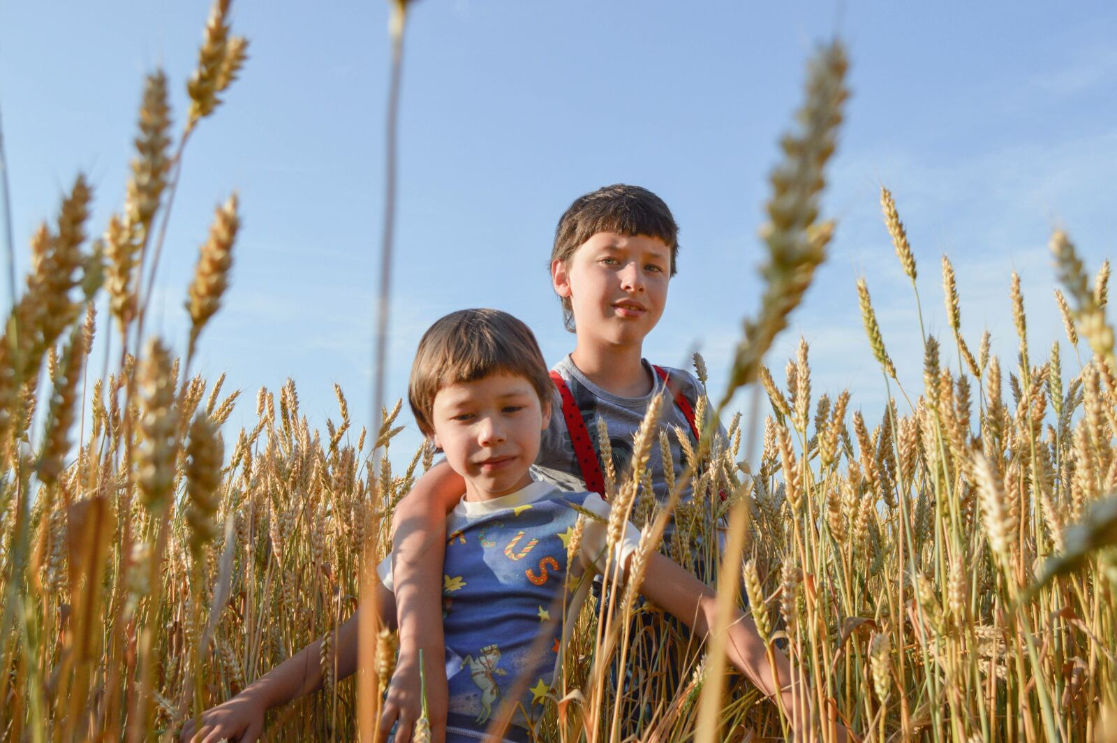 Nikon D3200 sample photo. Kids, field, wheat photography