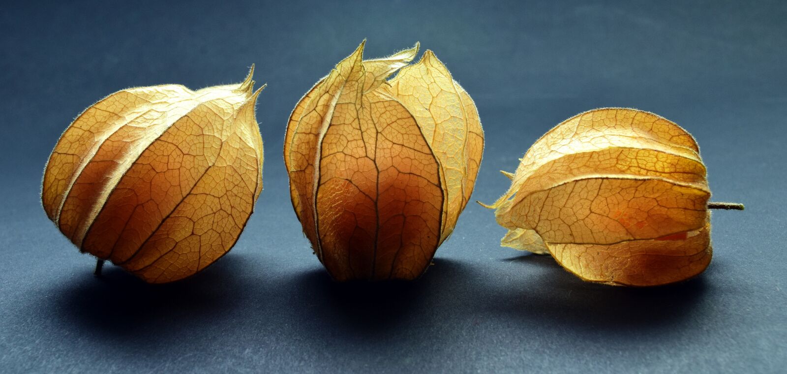 Nikon D3300 sample photo. Physalis, fruit, berry photography