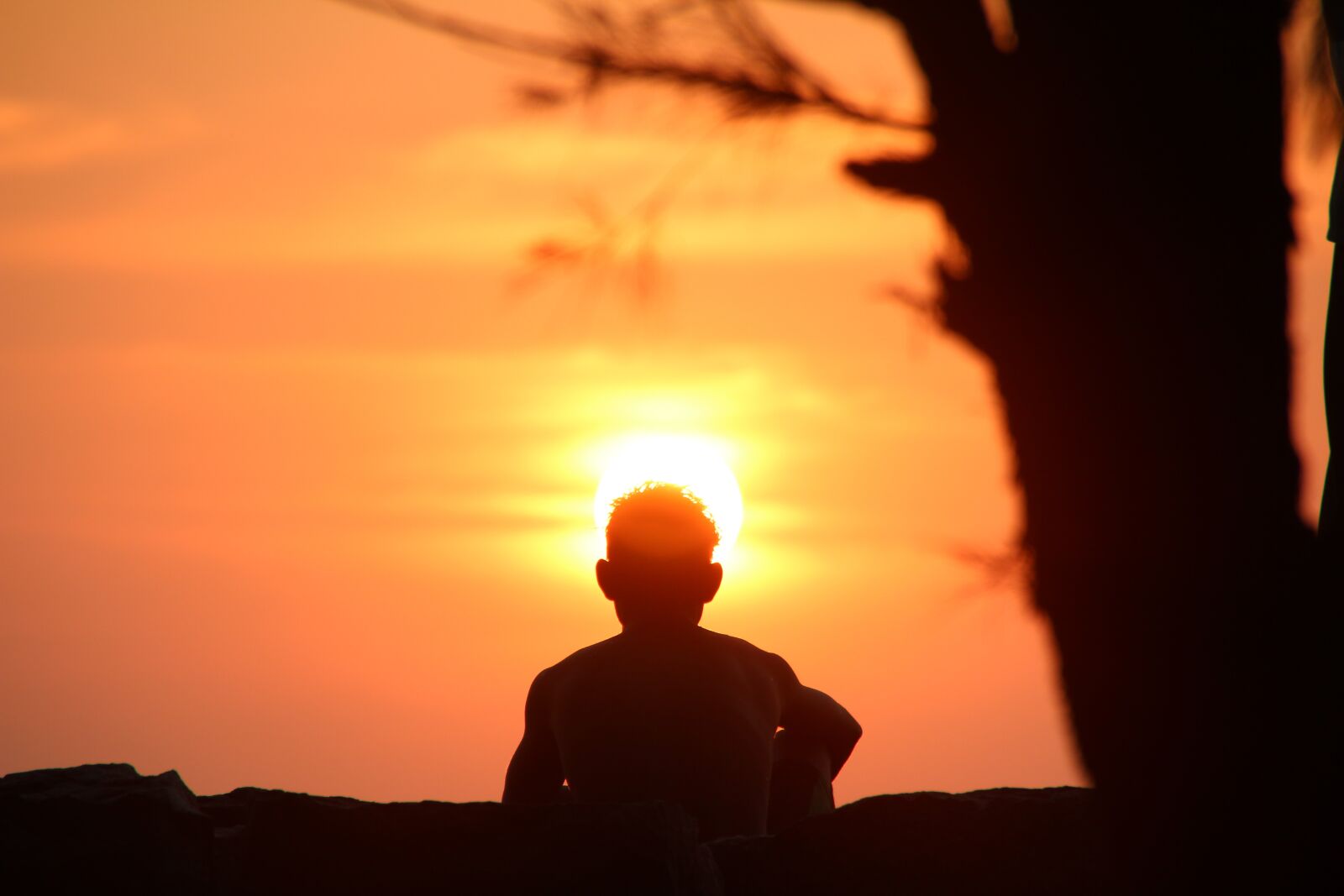 Canon EOS 600D (Rebel EOS T3i / EOS Kiss X5) sample photo. Sunset, silhouette, abendstimmung photography
