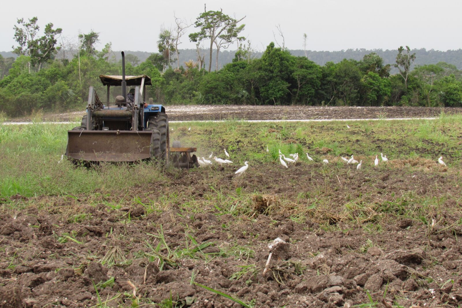 Canon PowerShot SX530 HS sample photo. Agriculture, soil, farm photography