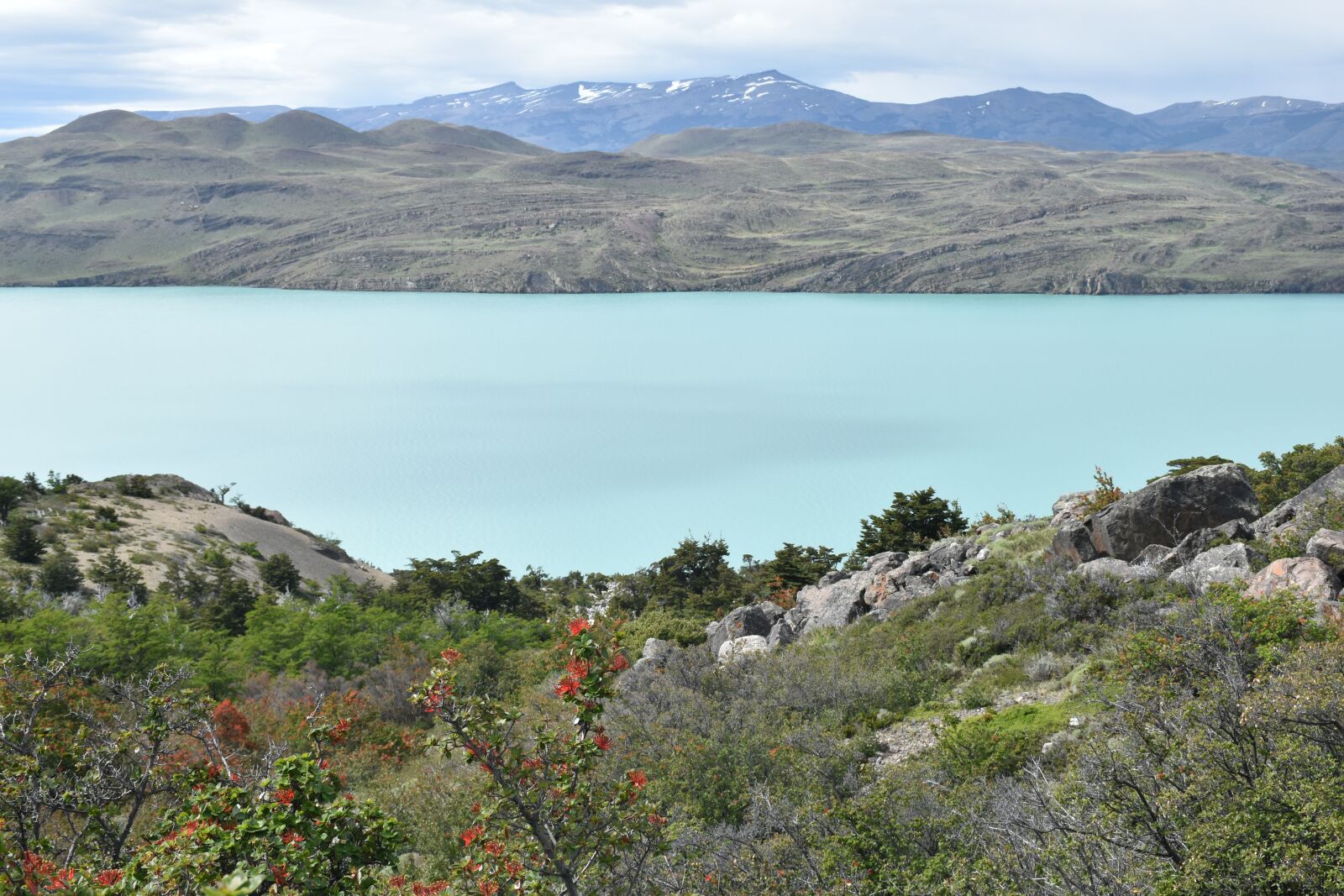 Nikon D5500 sample photo. Patagonia, torres del paine photography