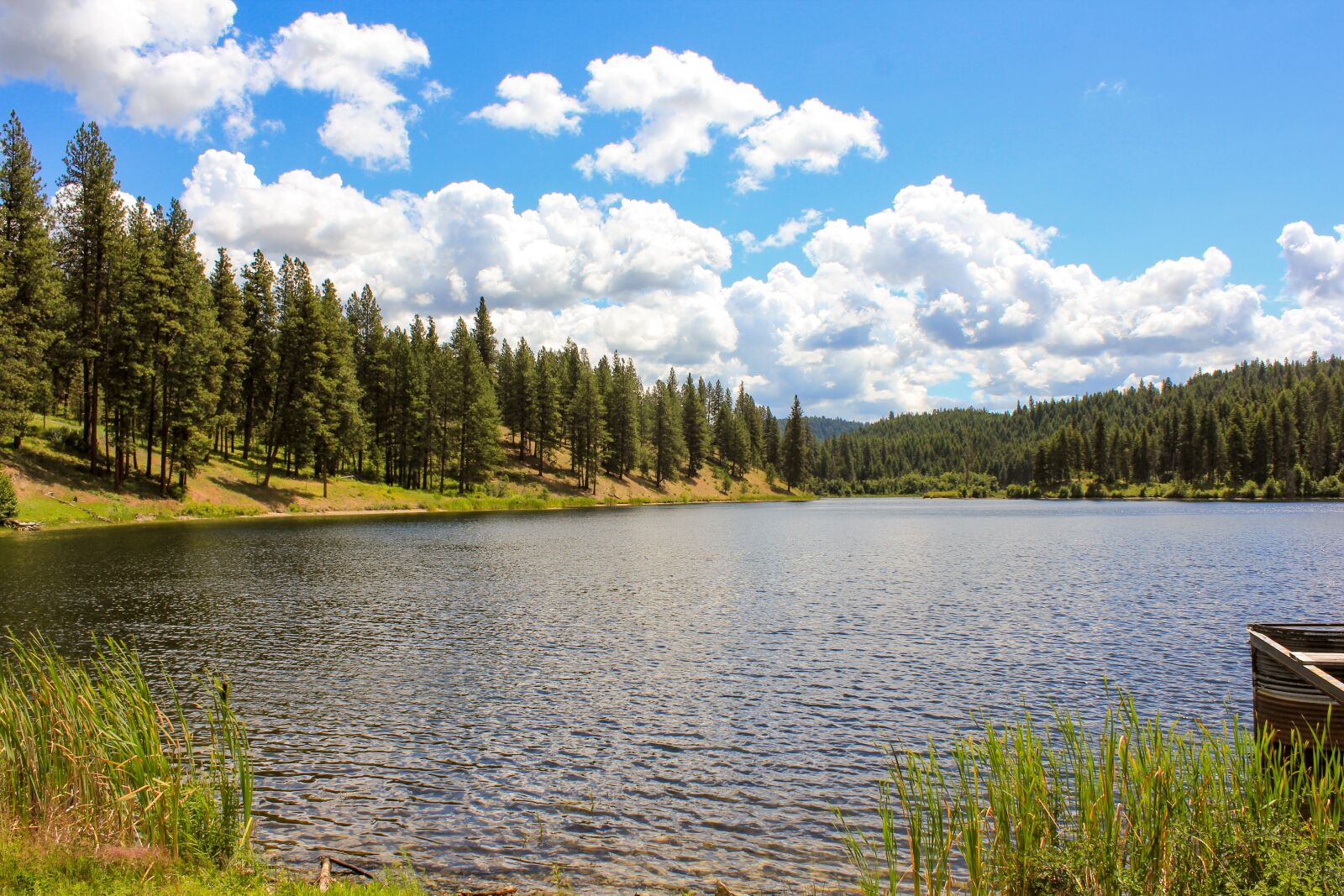 Canon EOS 550D (EOS Rebel T2i / EOS Kiss X4) sample photo. Lake, view, pine trees photography