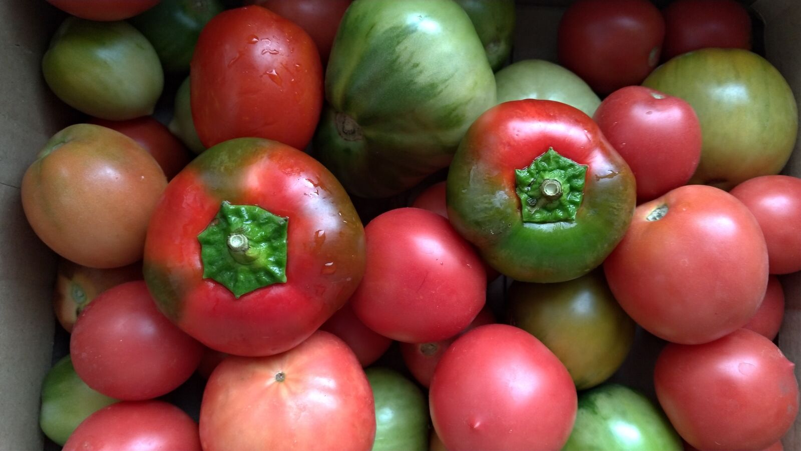 ASUS ZenFone 4 (ZE554KL) sample photo. Vegetables, still life, tomatoes photography