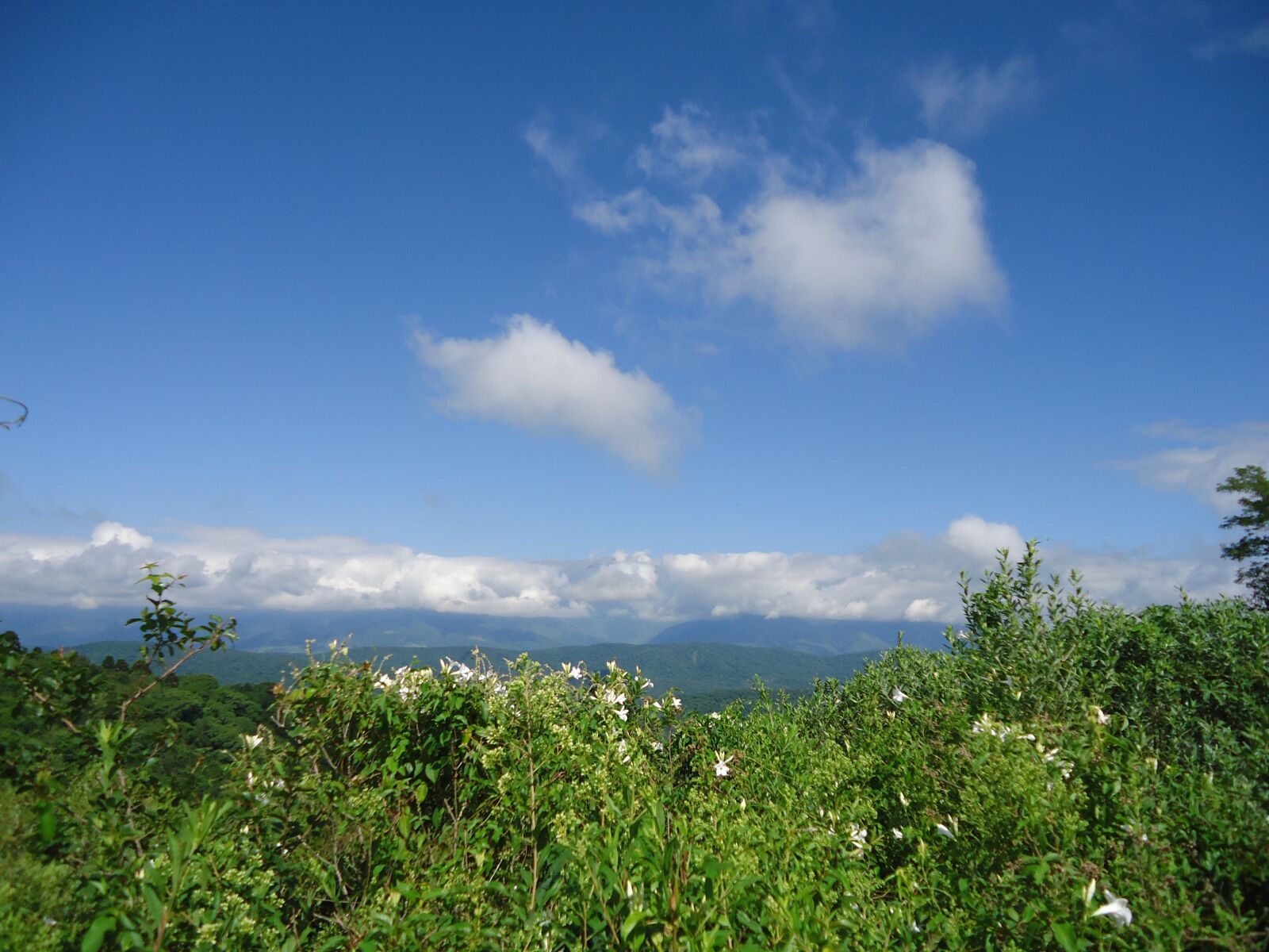 Sony Cyber-shot DSC-W610 sample photo. Landscape, vegetation, mountain photography