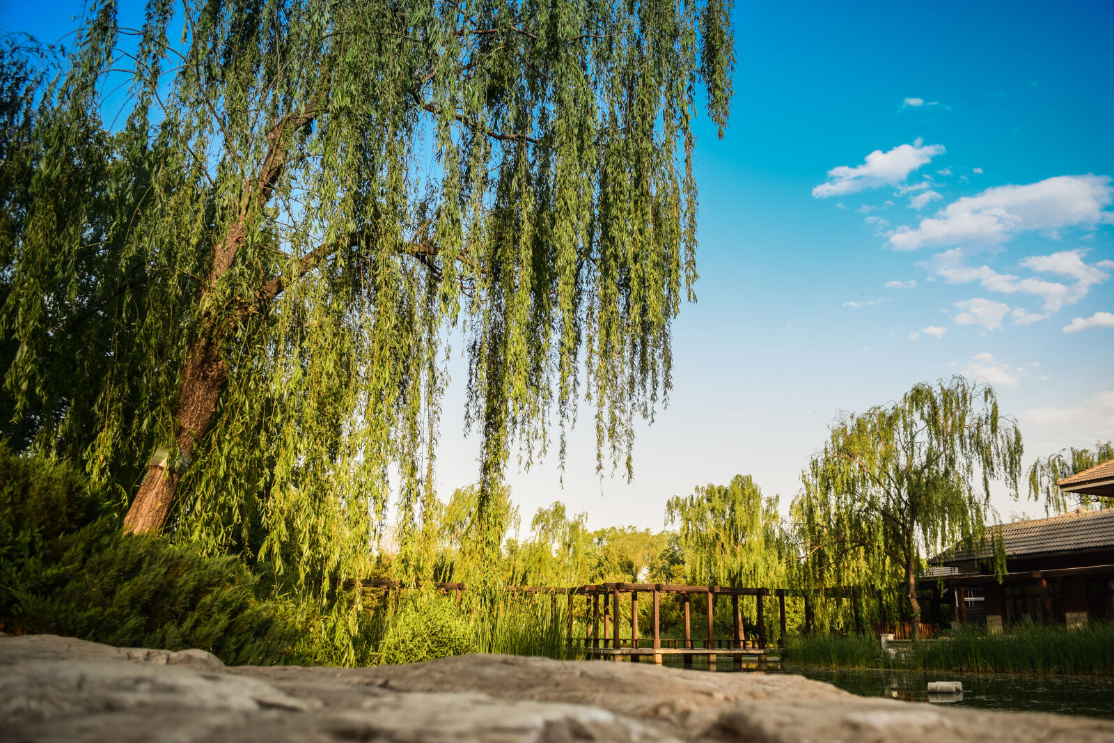 Nikon D5300 sample photo