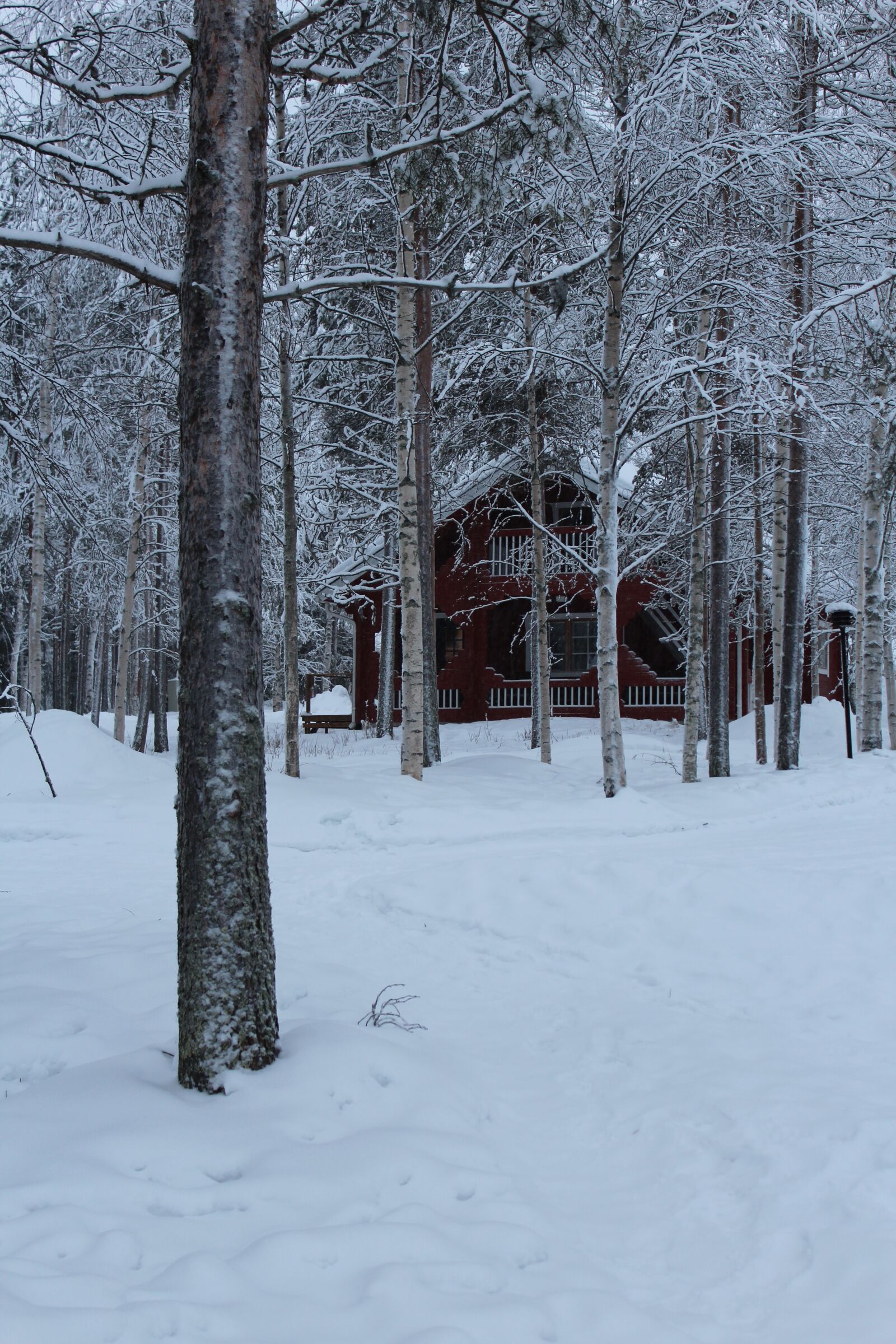 Canon EOS 1200D (EOS Rebel T5 / EOS Kiss X70 / EOS Hi) sample photo. Chalet, finland, forest photography