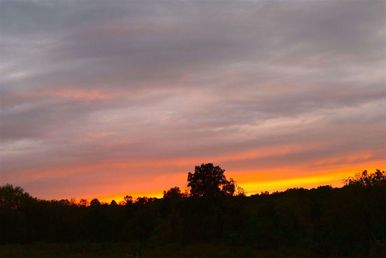 Nikon D3300 sample photo. Sunset, sky, trees photography